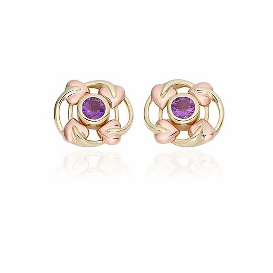 9ct Yellow & Rose Gold Love Vine Amethyst Set Stud Earrings