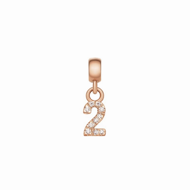 Daniel Wellington Crystal Number 2 Charm Rose Gold