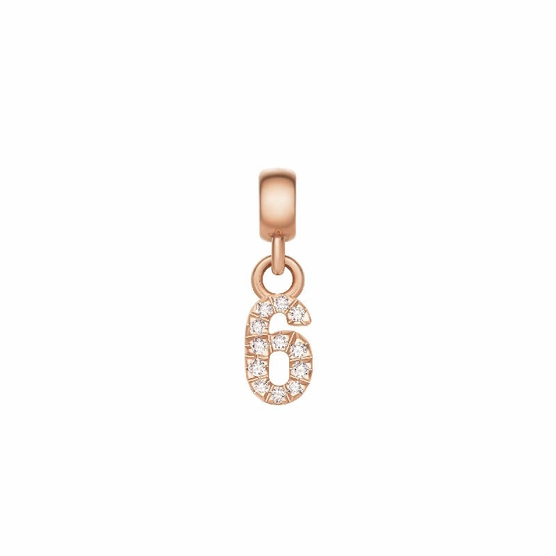 Daniel Wellington Crystal Number 6 Charm Rose Gold