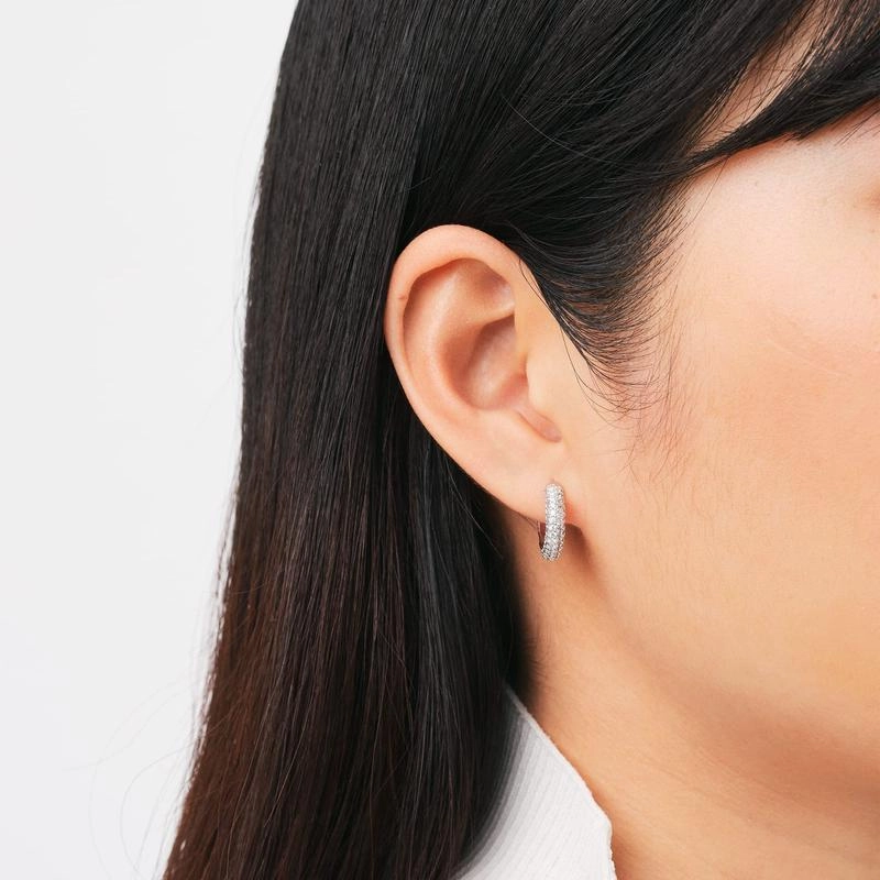Daniel Wellington Pav Crystal Earrings Silver