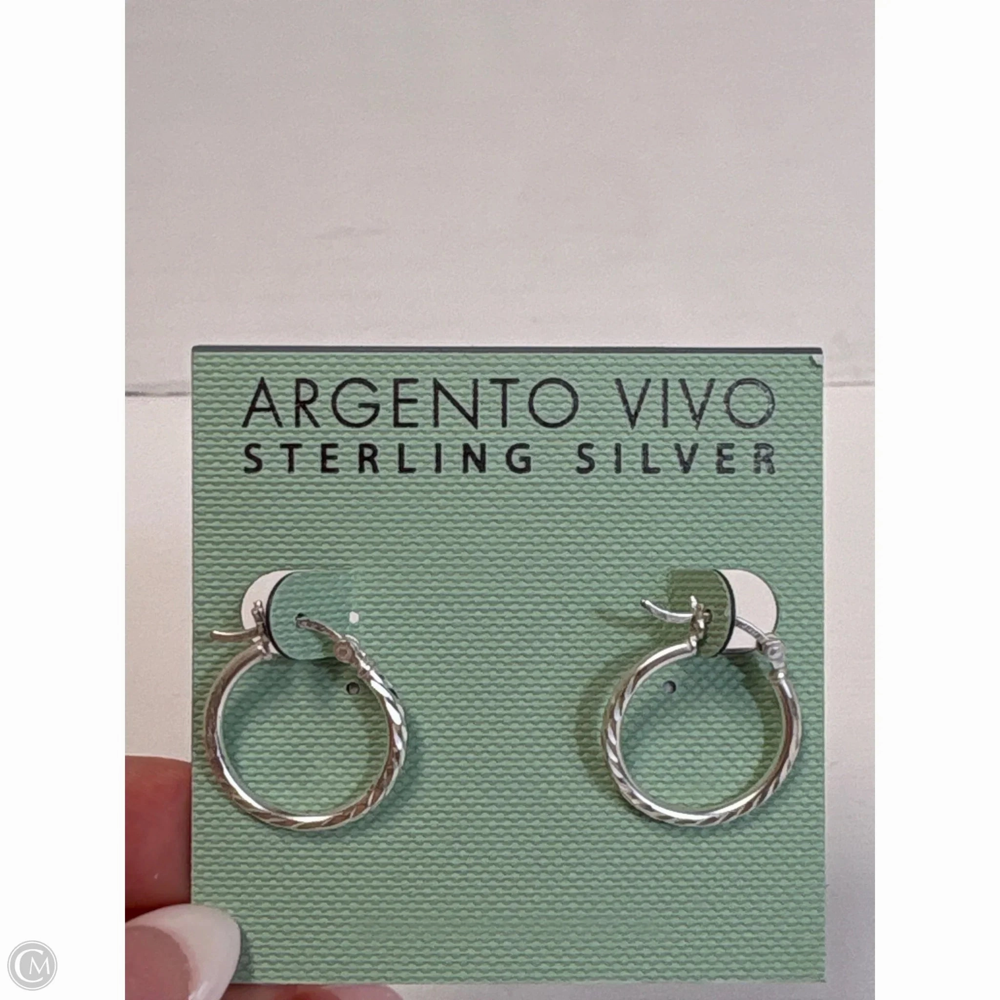 Earrings Clip By Clothes Mentor
