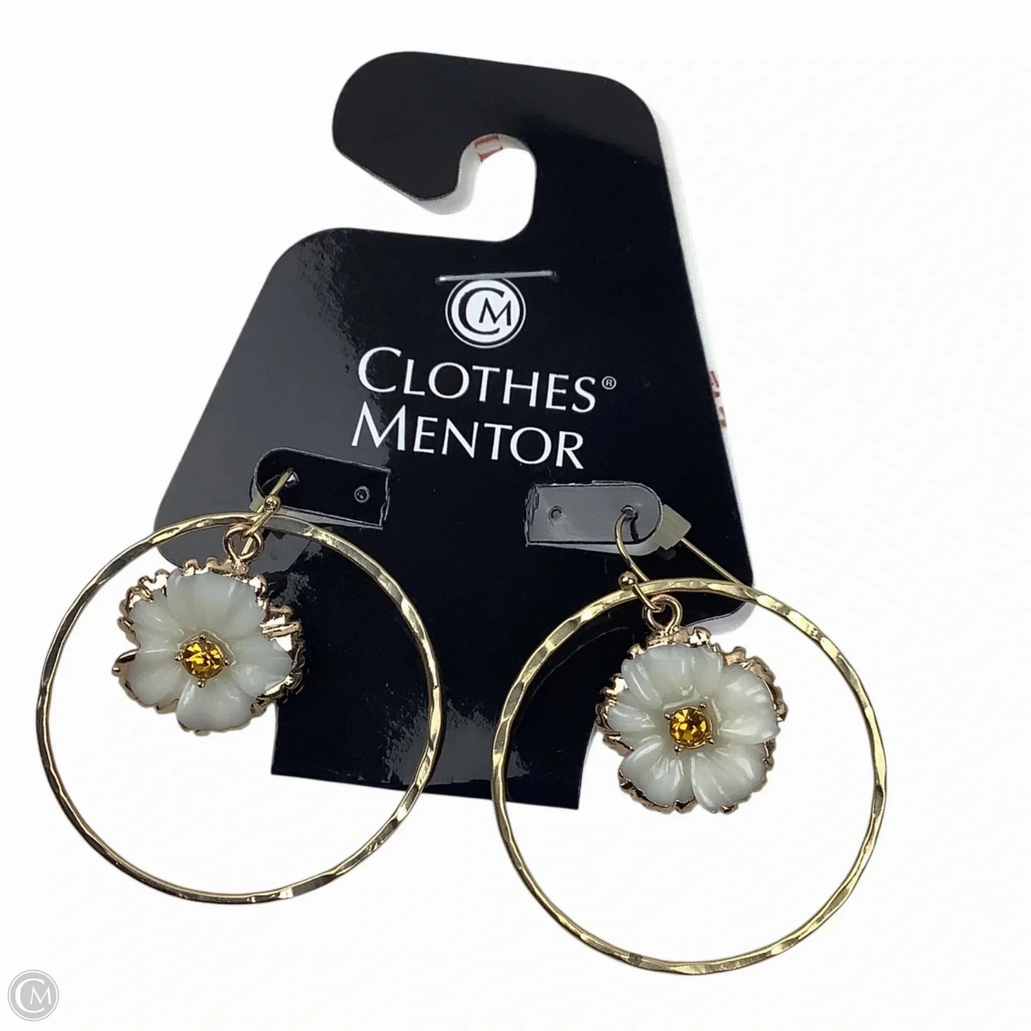Earrings Dangle/drop By Anthropologie