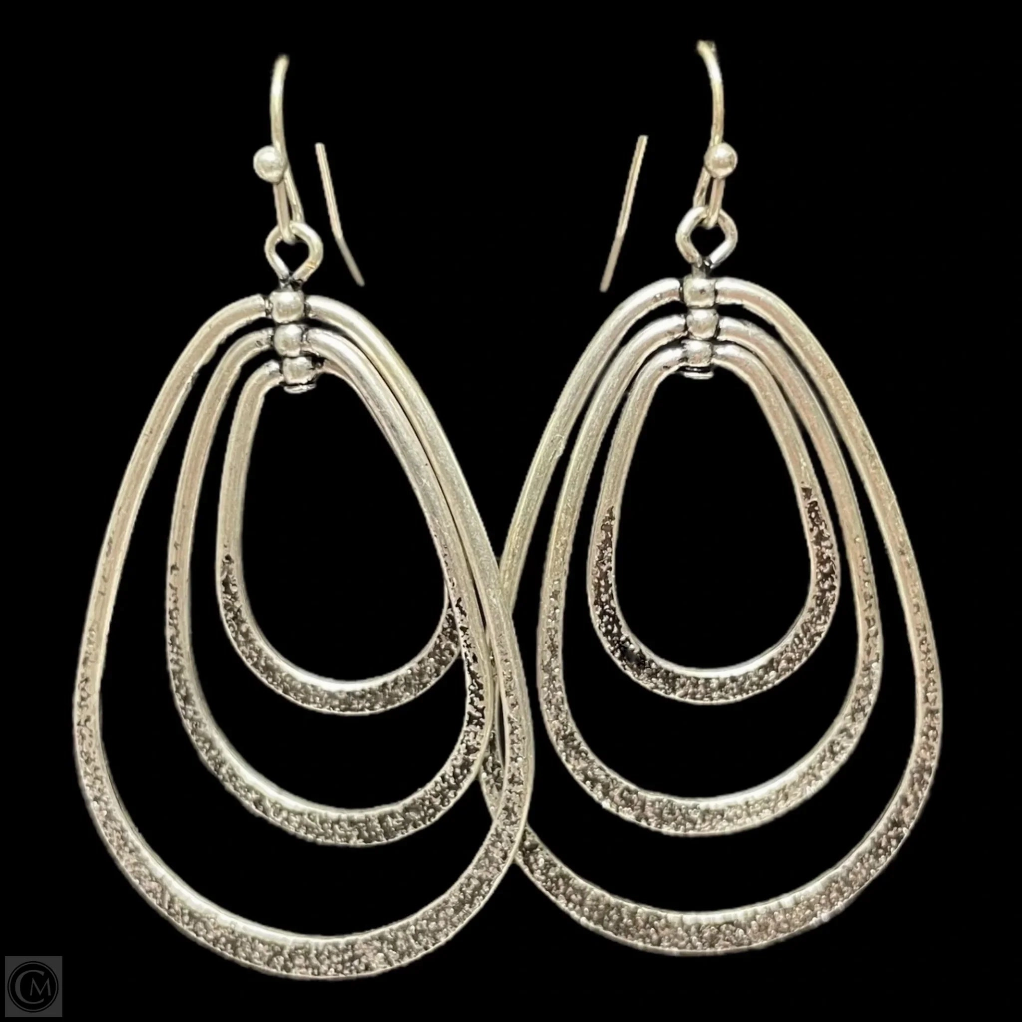 Earrings Dangle/drop By Chicos