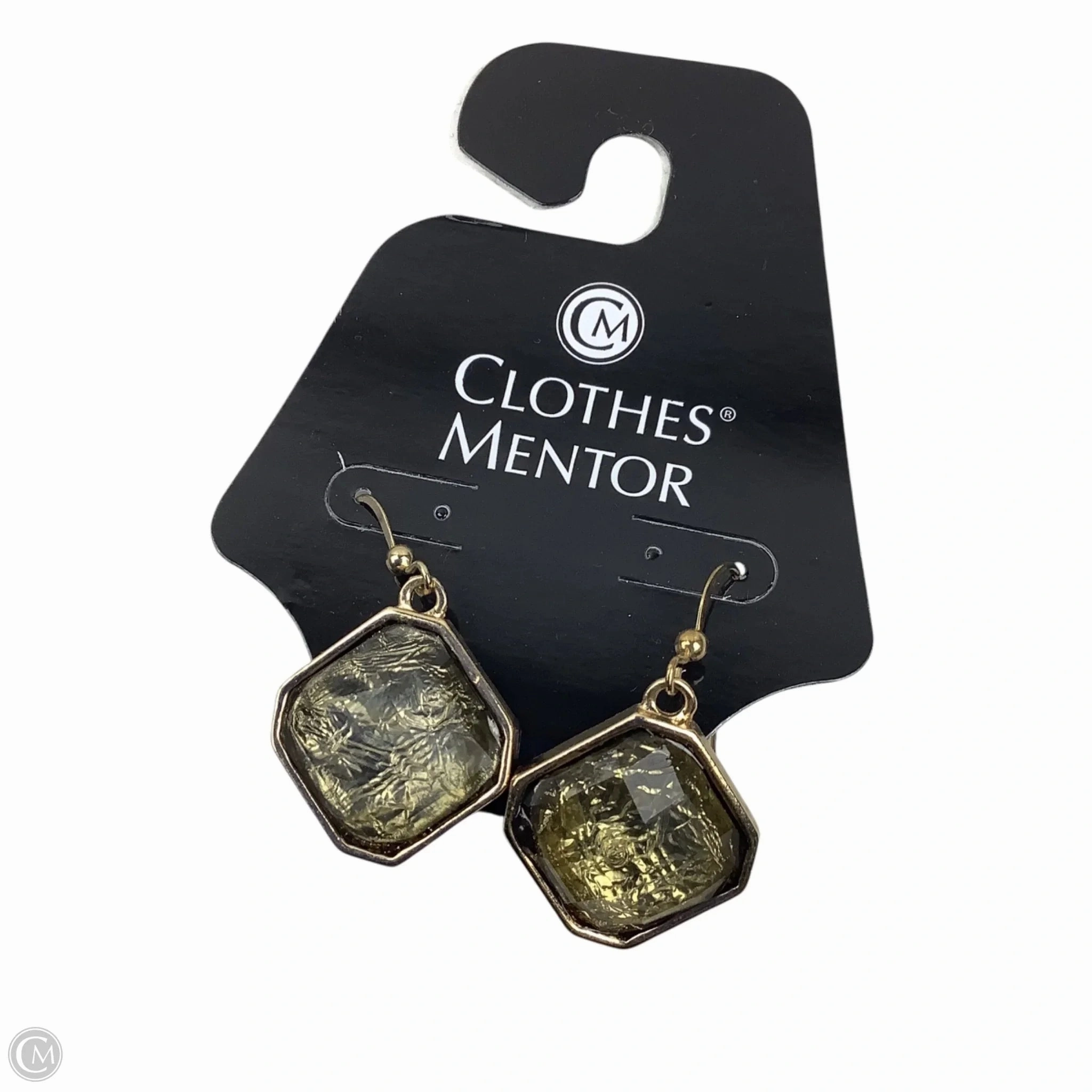 Earrings Dangle/drop By Clothes Mentor