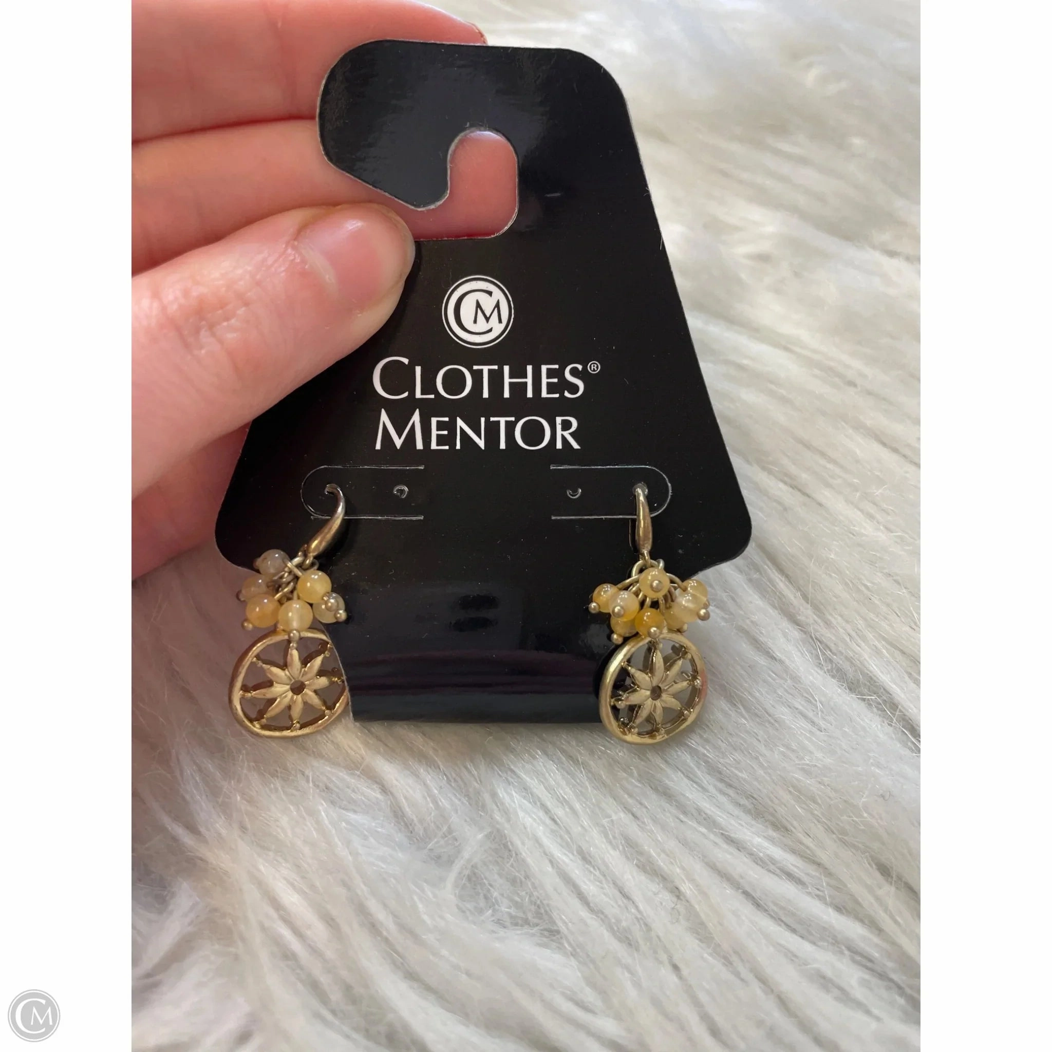 Earrings Dangle/drop By Clothes Mentor