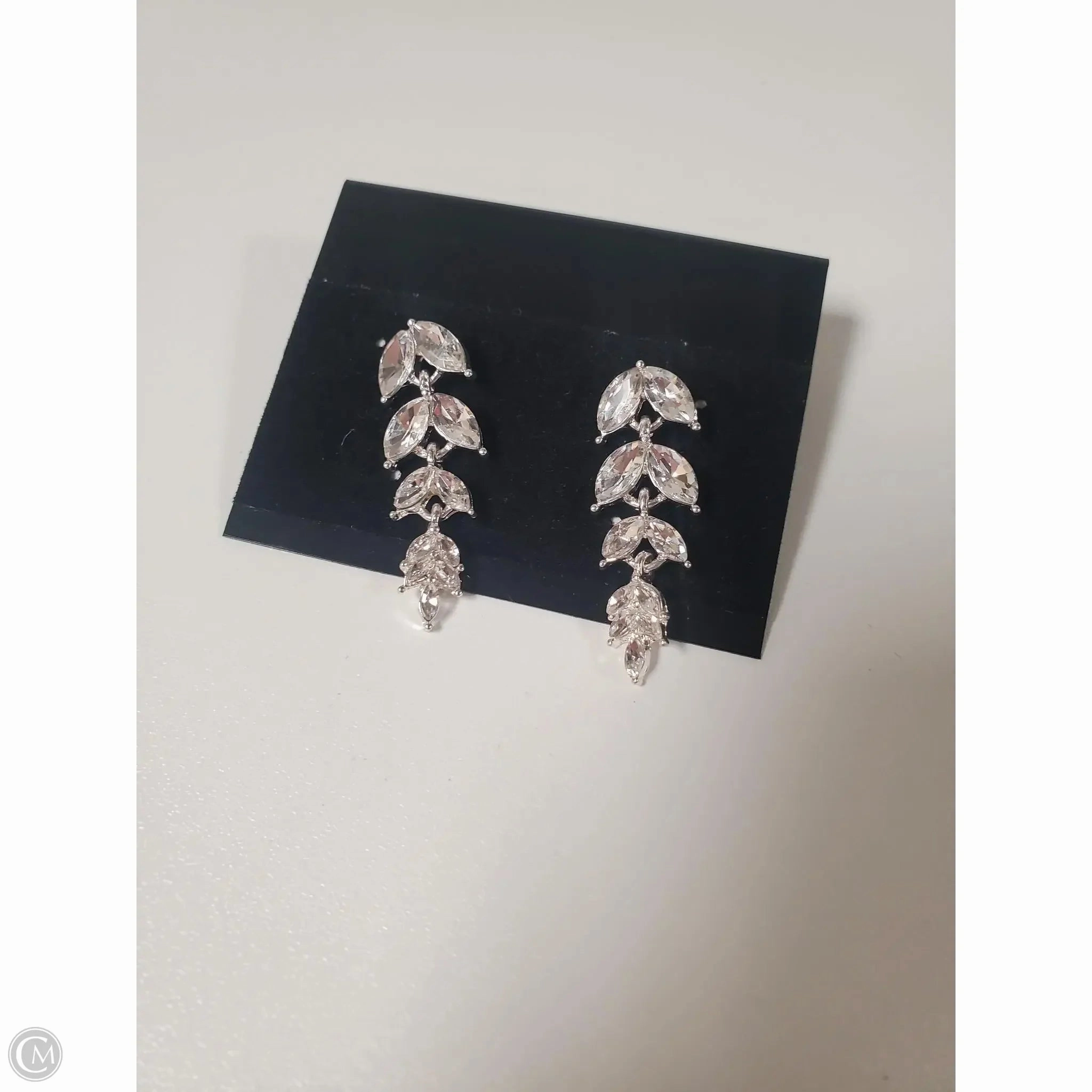 Earrings Dangle/drop By Clothes Mentor