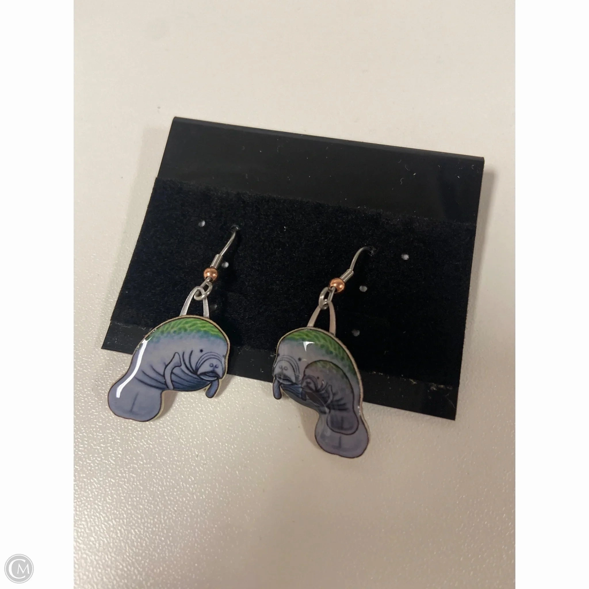 Earrings Dangle/drop By Clothes Mentor