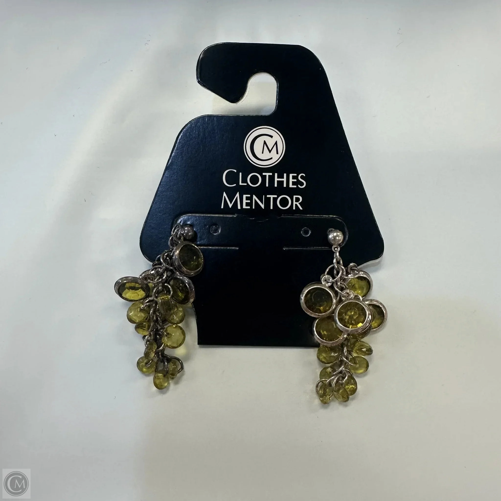 Earrings Dangle/drop By Clothes Mentor