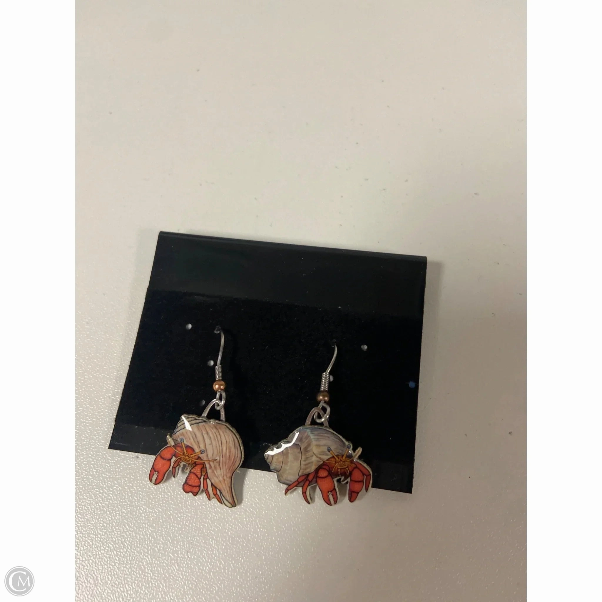 Earrings Dangle/drop By Clothes Mentor