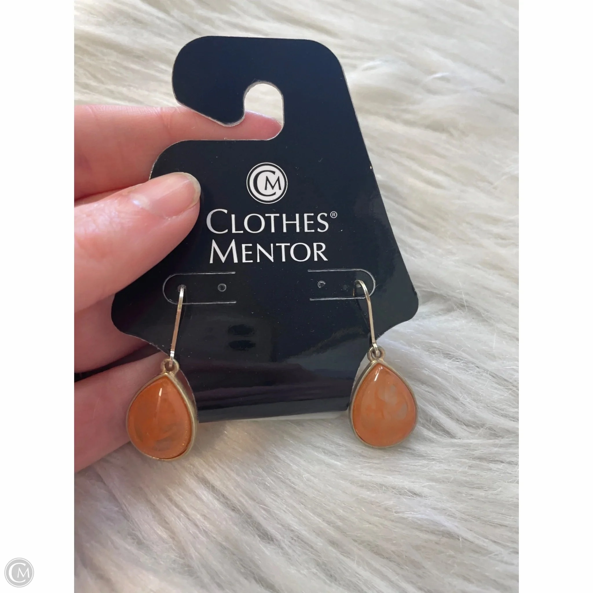 Earrings Dangle/drop By Clothes Mentor