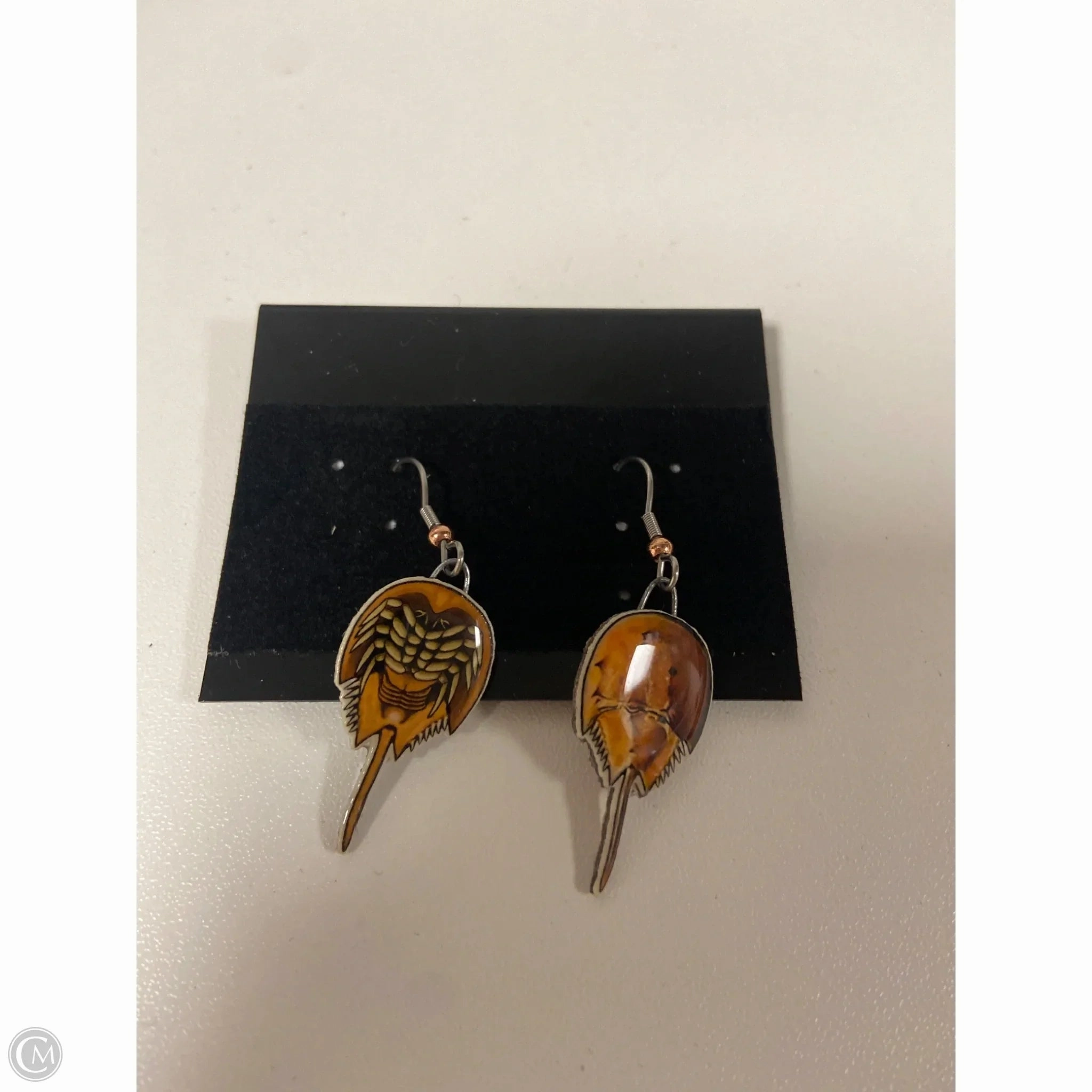 Earrings Dangle/drop By Clothes Mentor