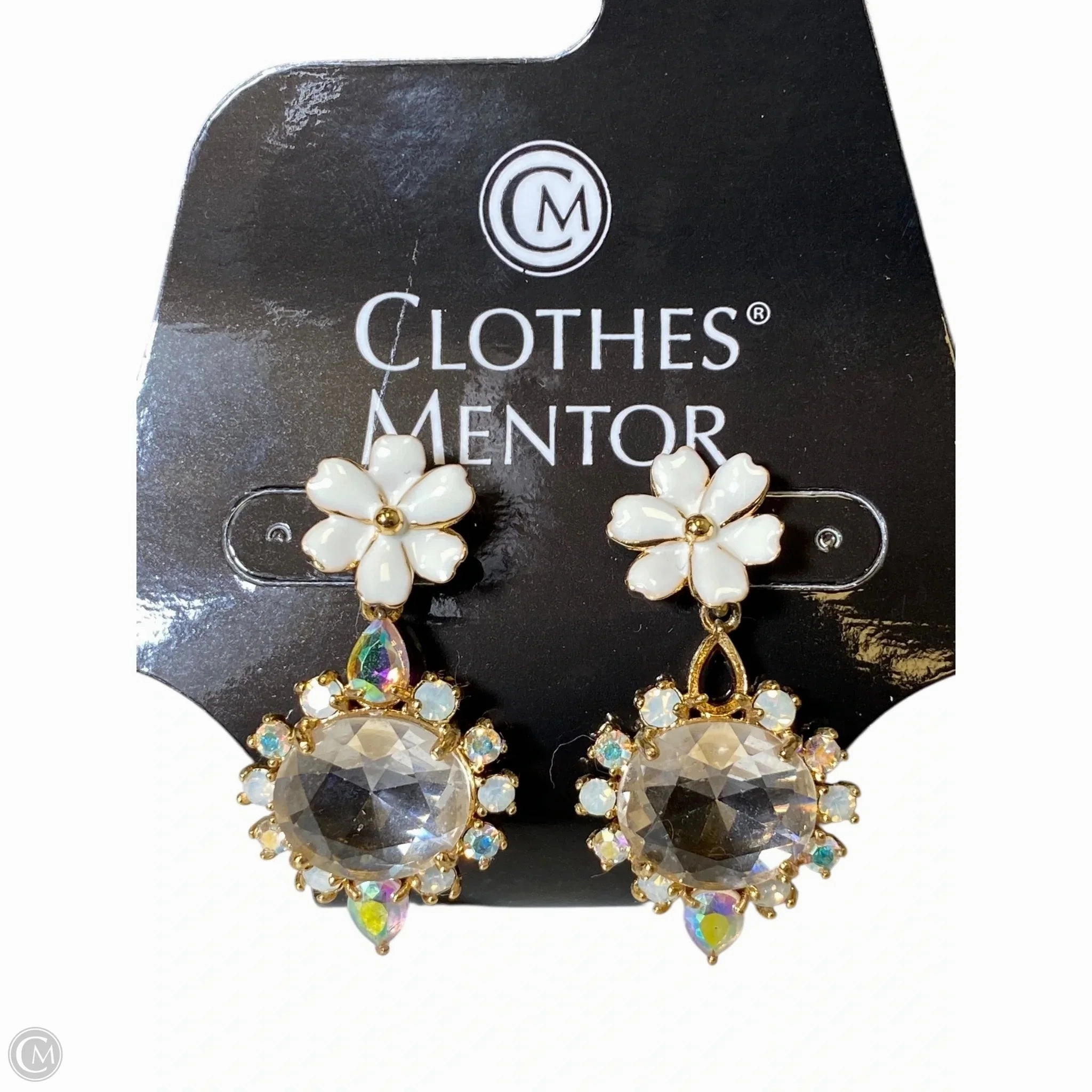 Earrings Dangle/drop By Clothes Mentor