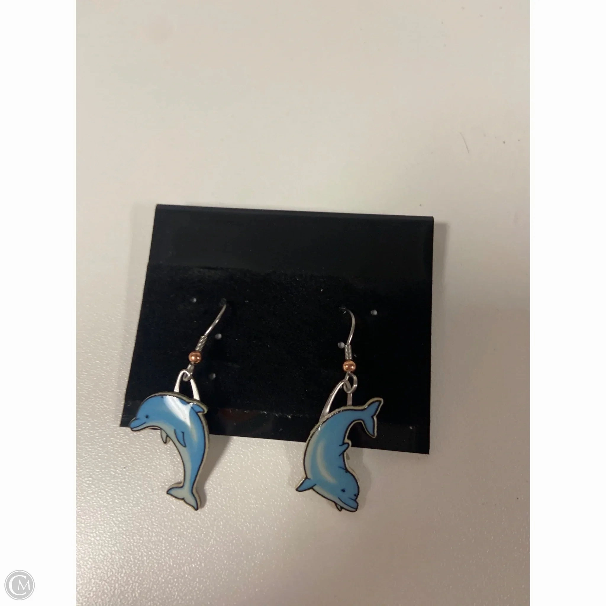 Earrings Dangle/drop By Clothes Mentor
