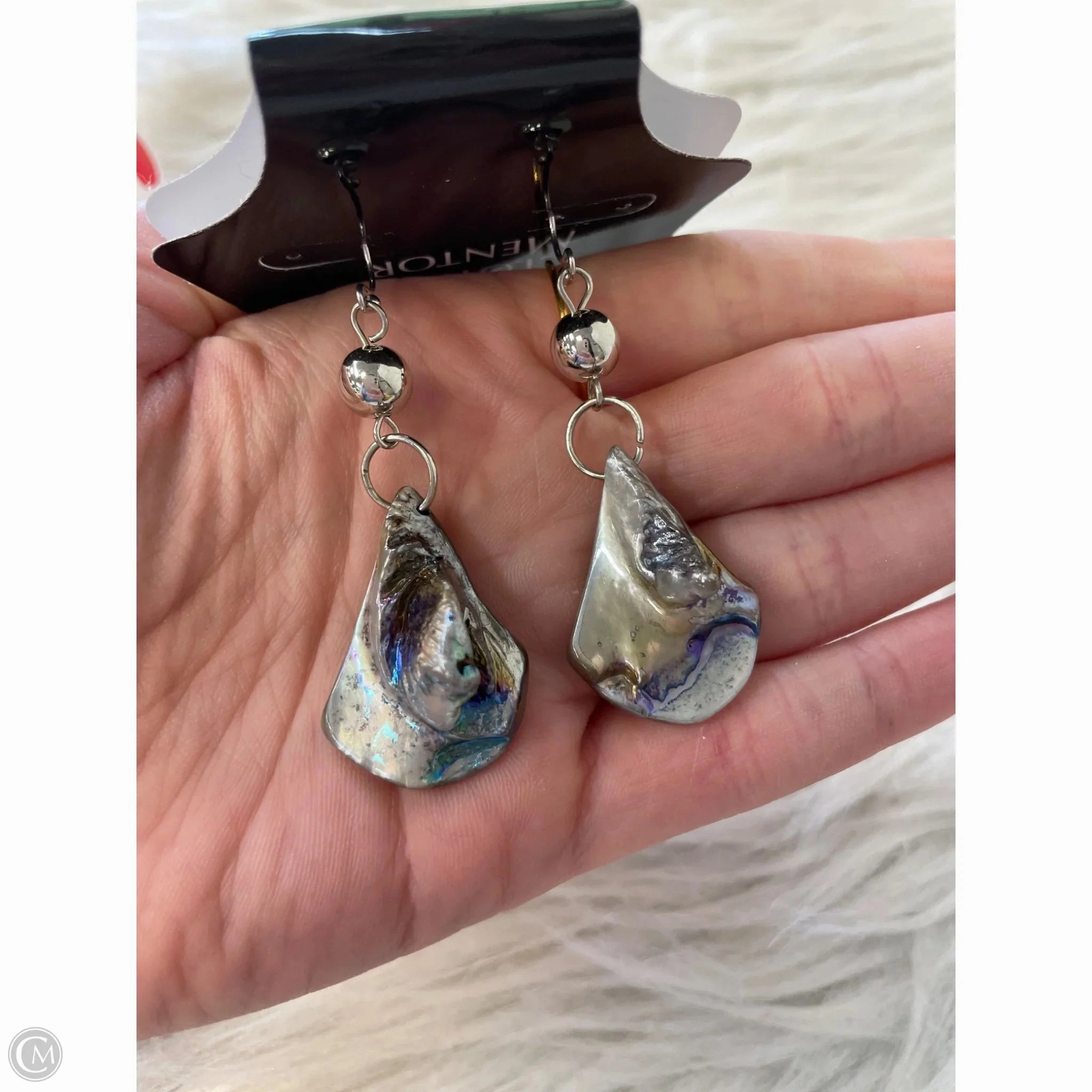 Earrings Dangle/drop By Clothes Mentor