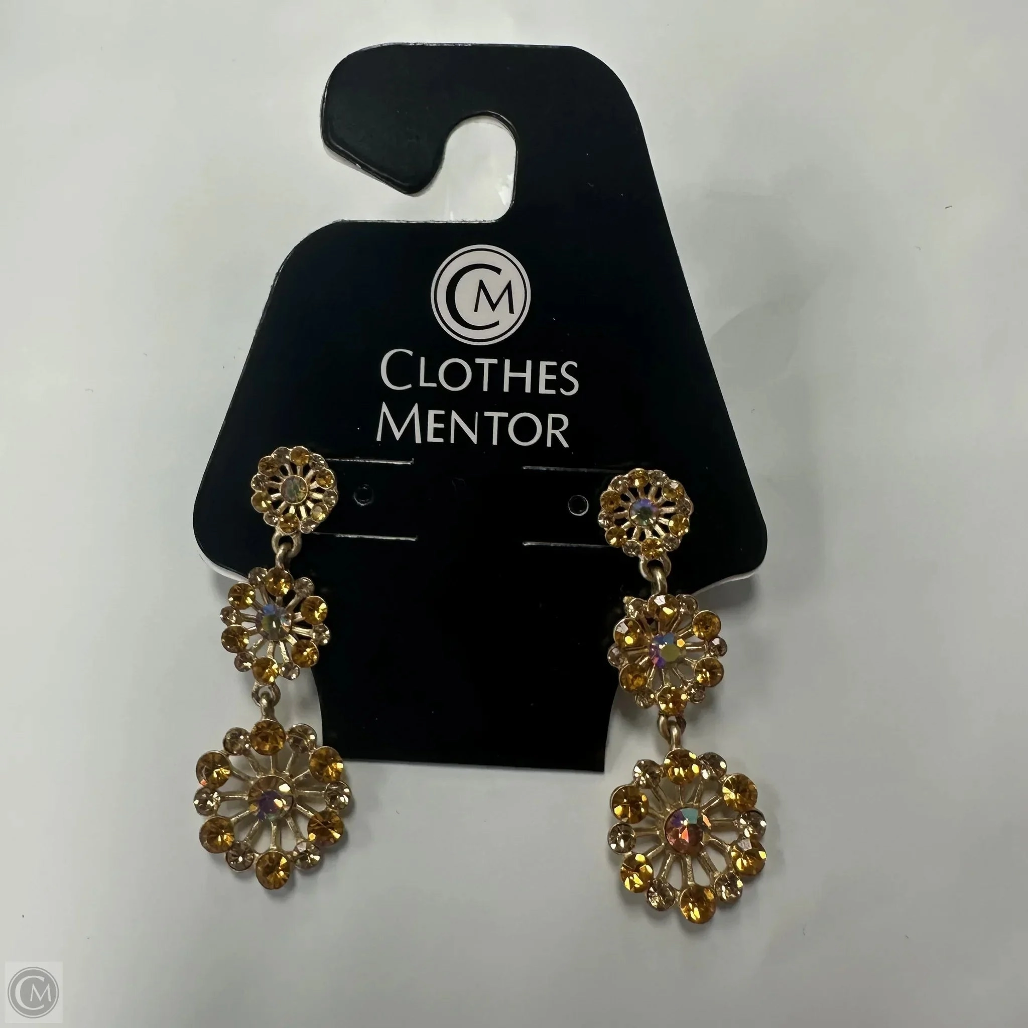 Earrings Dangle/drop By Clothes Mentor