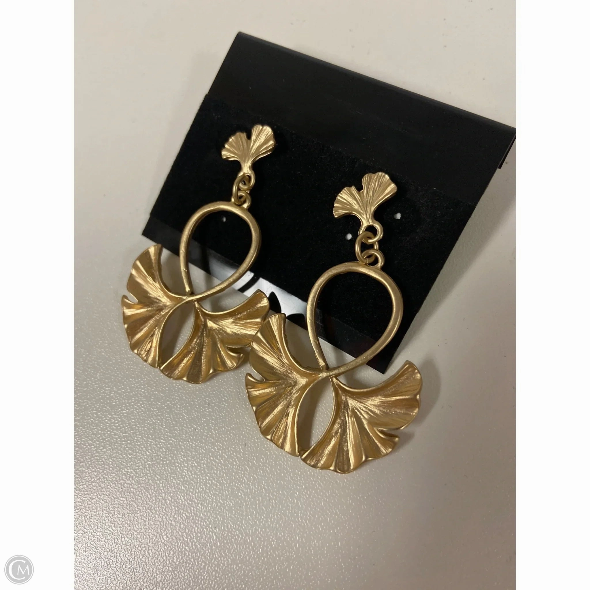 Earrings Dangle/drop By Clothes Mentor