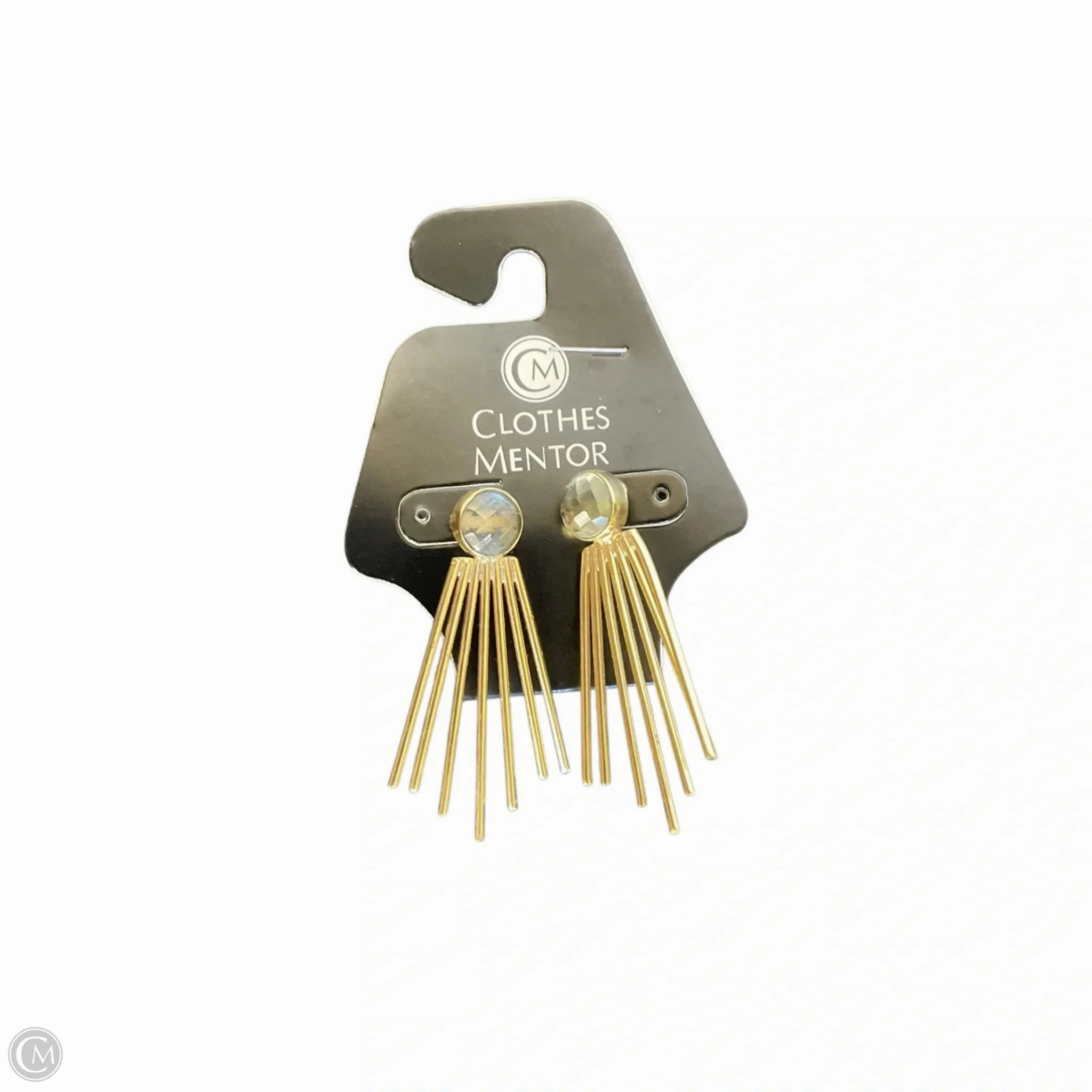 Earrings Dangle/drop By Clothes Mentor