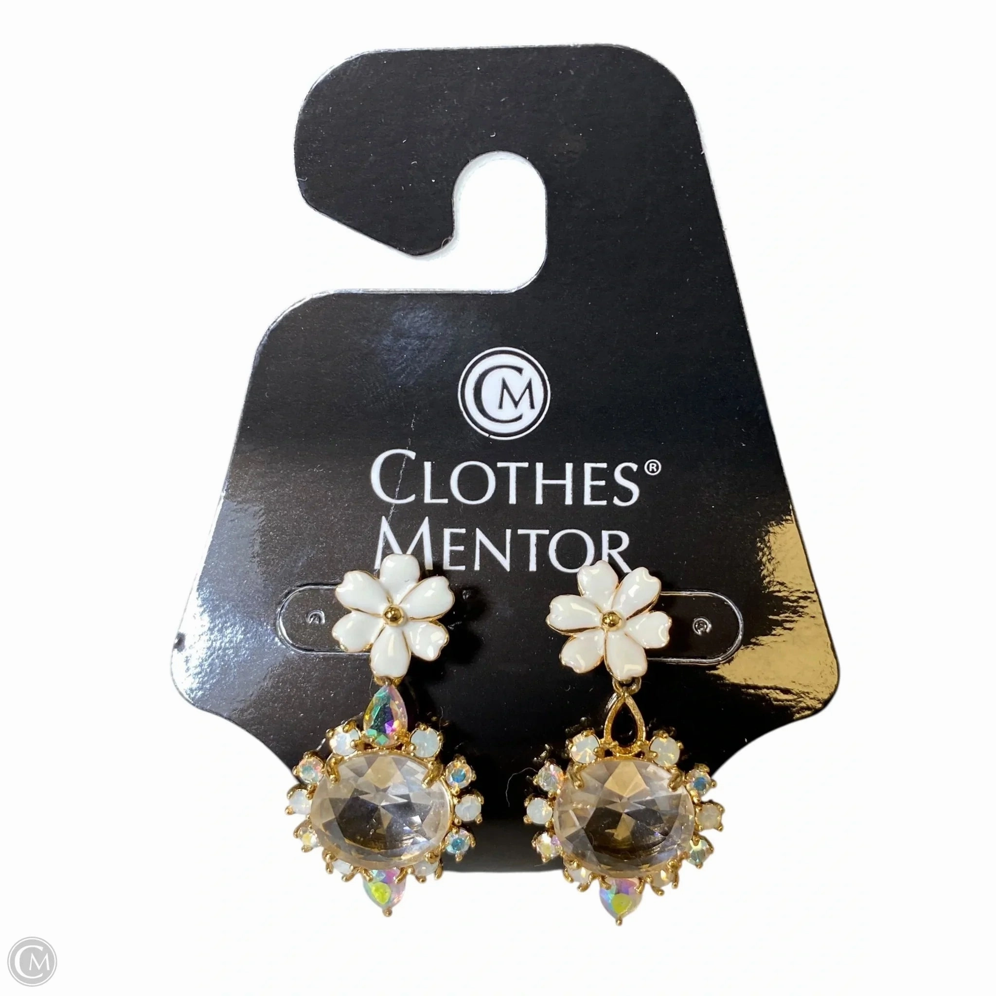 Earrings Dangle/drop By Clothes Mentor