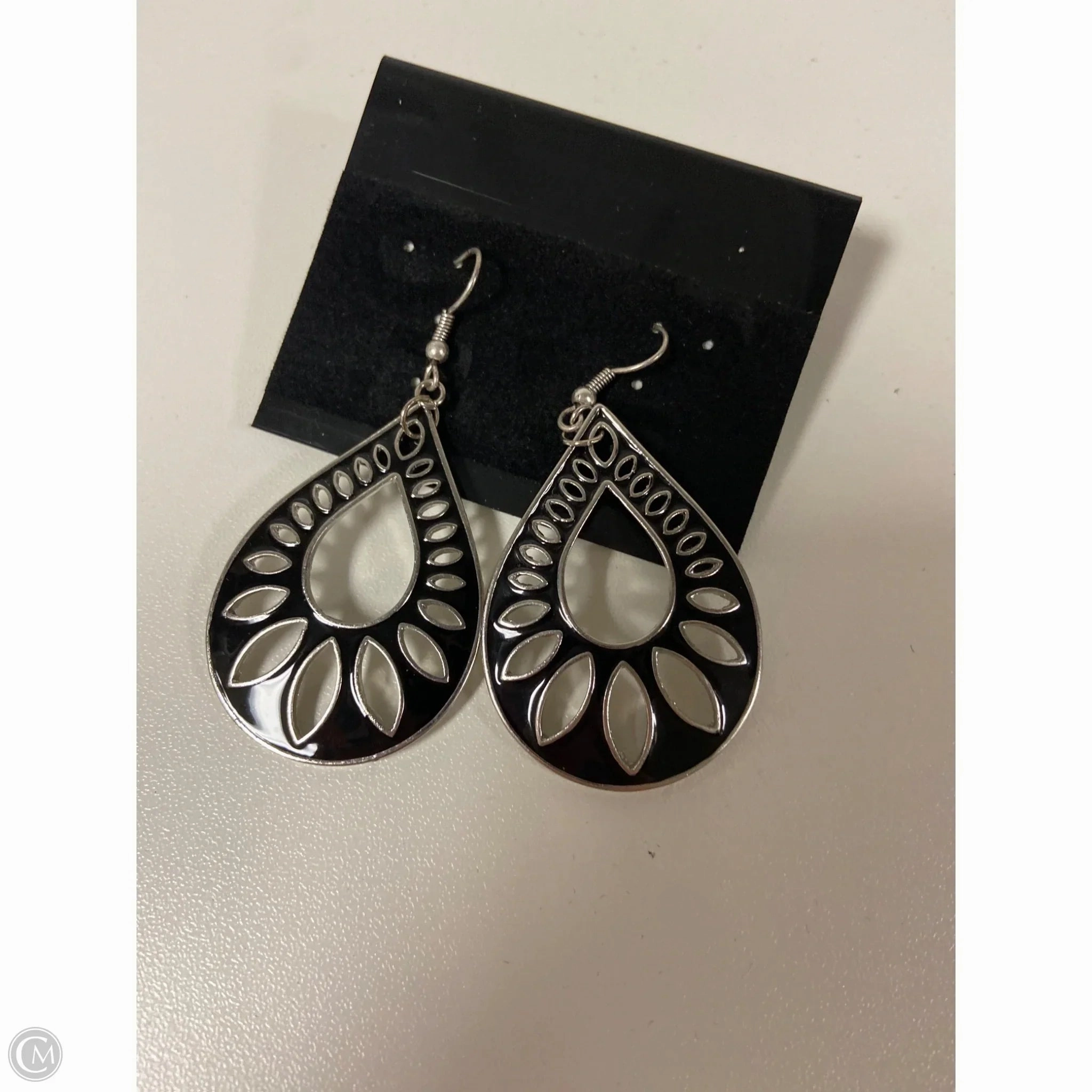 Earrings Dangle/drop By Clothes Mentor
