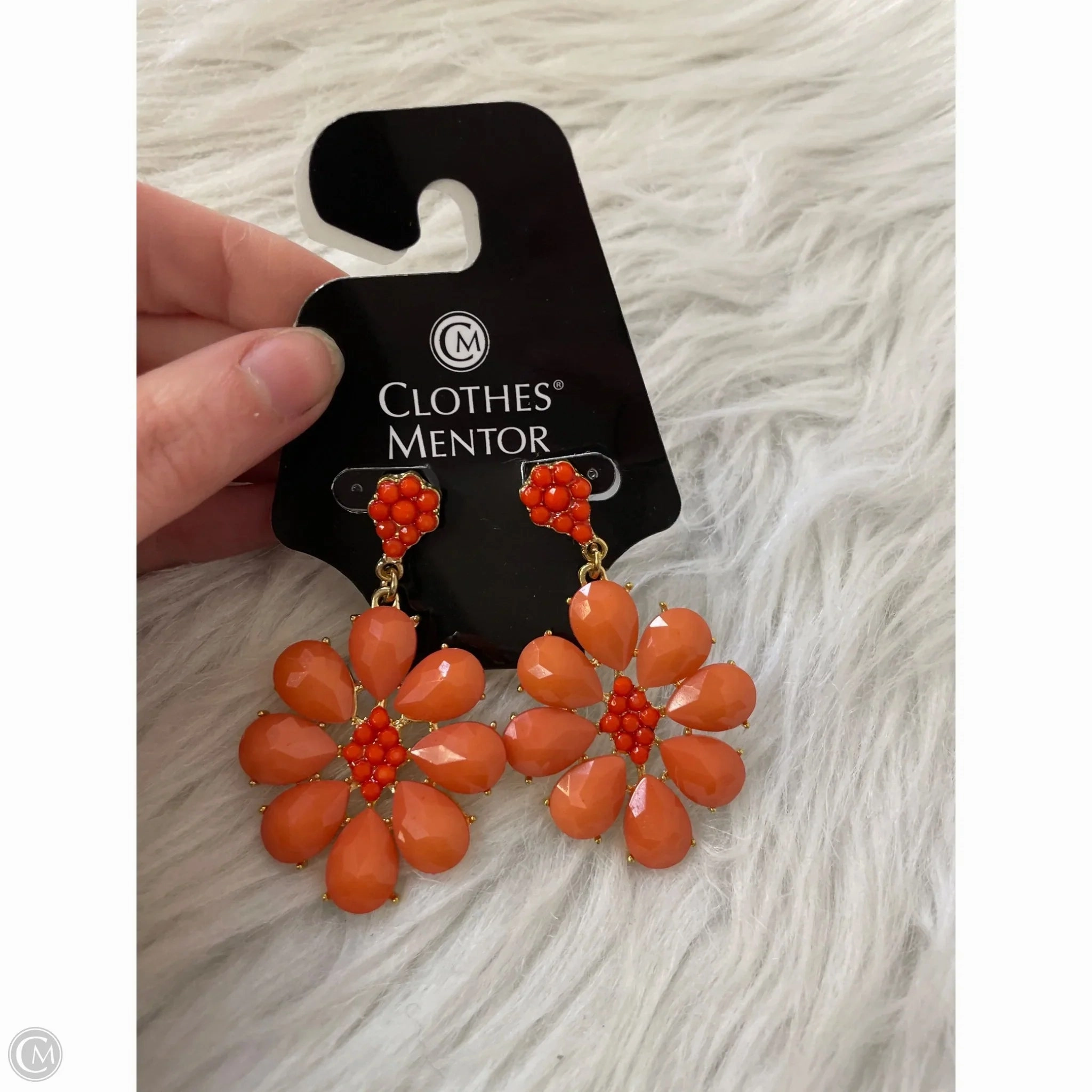 Earrings Dangle/drop By Clothes Mentor