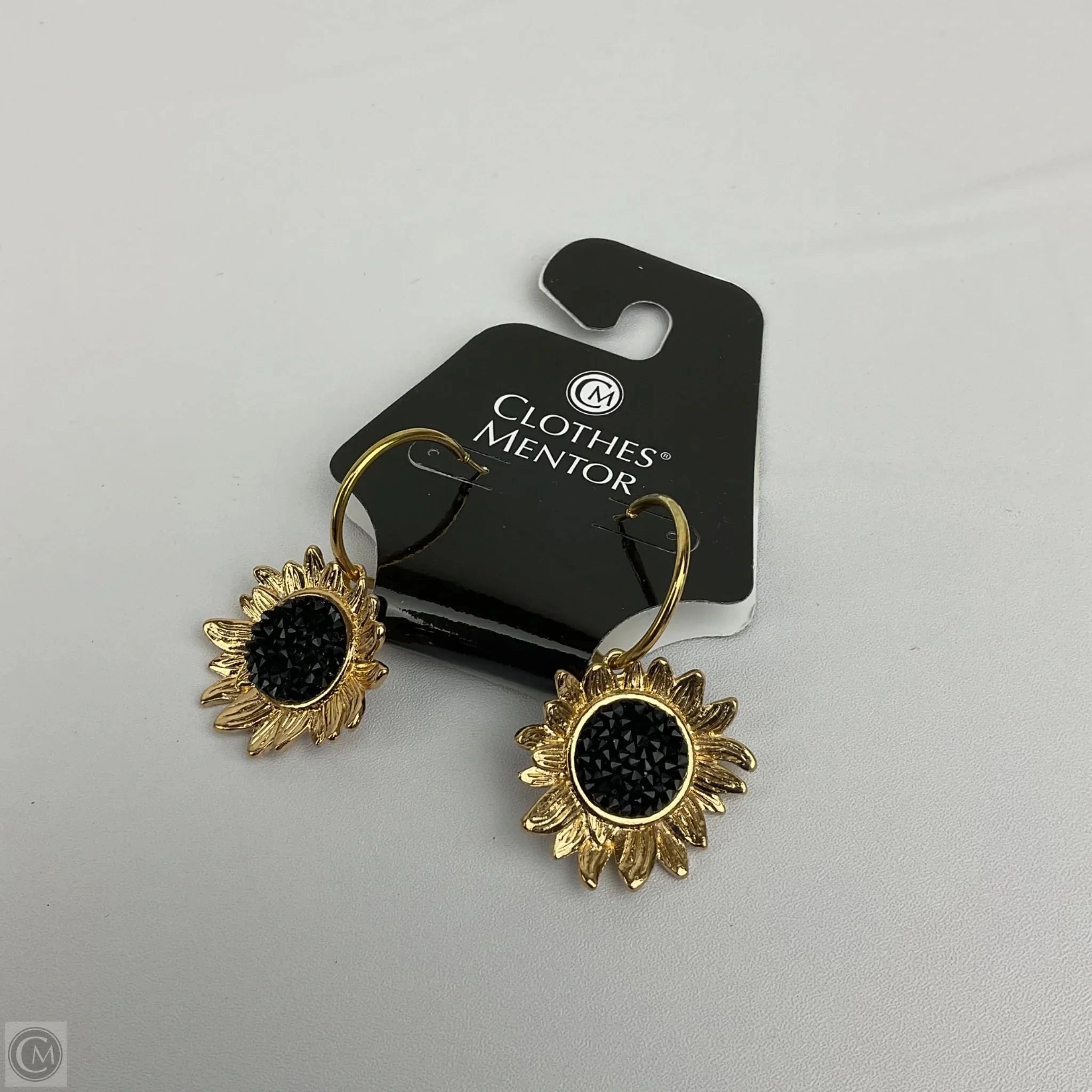 Earrings Dangle/drop By Clothes Mentor