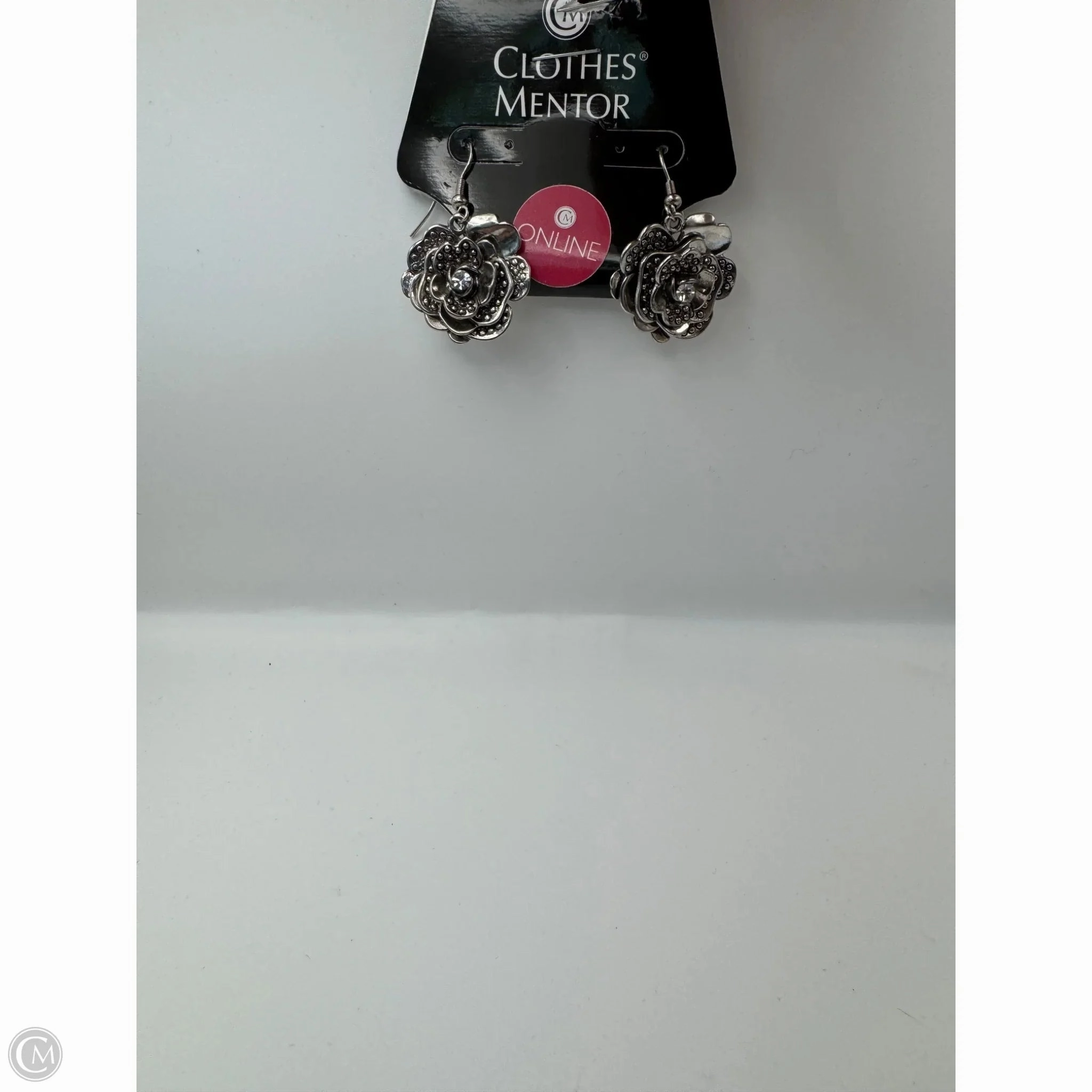 Earrings Dangle/drop By Clothes Mentor