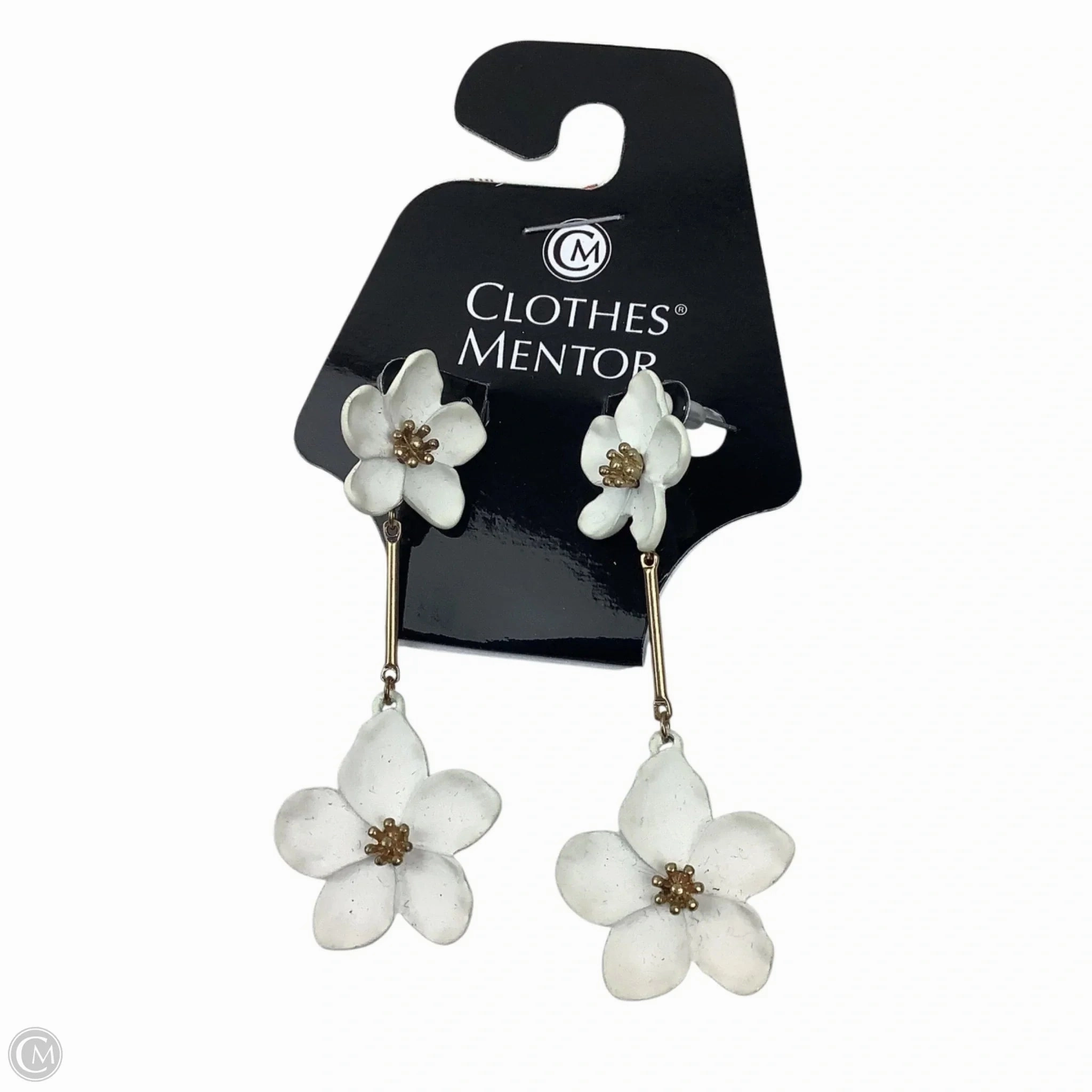 Earrings Dangle/drop By Clothes Mentor