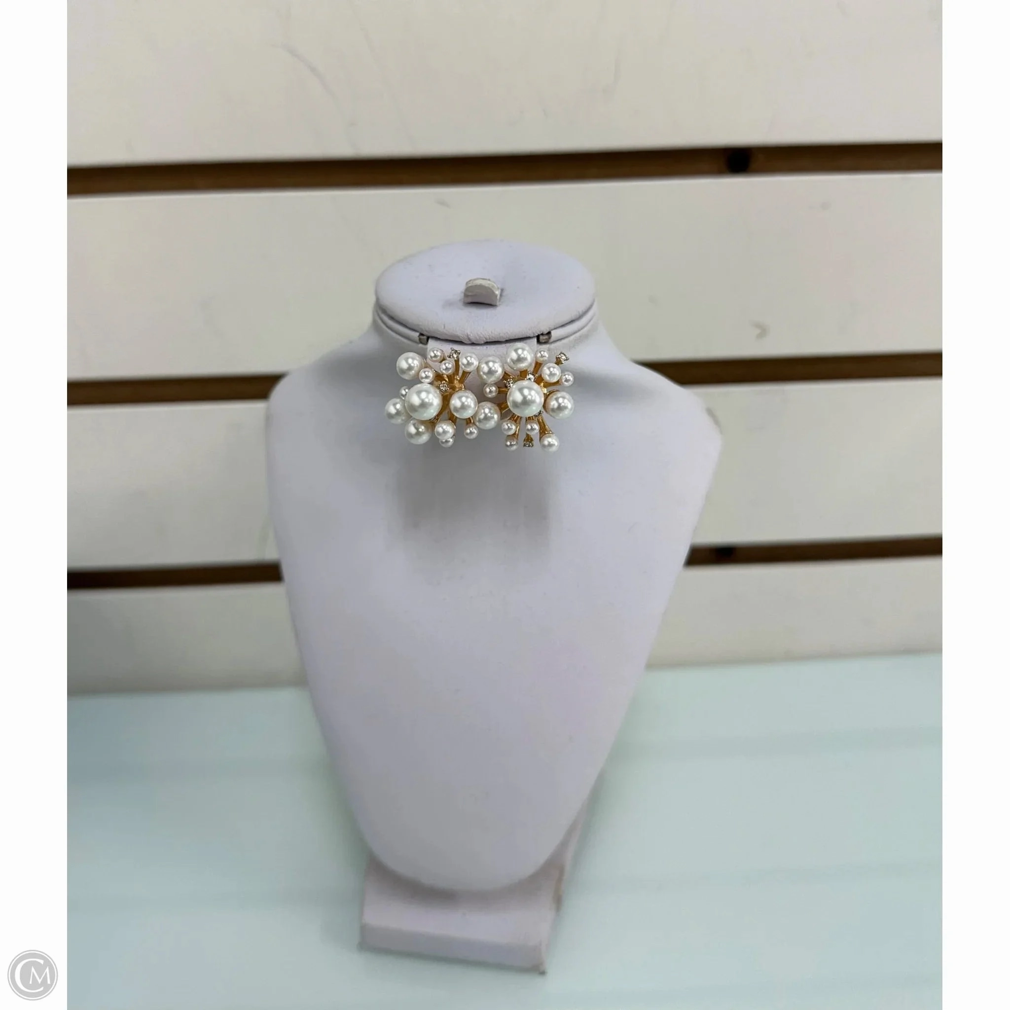 Earrings Designer By Kate Spade