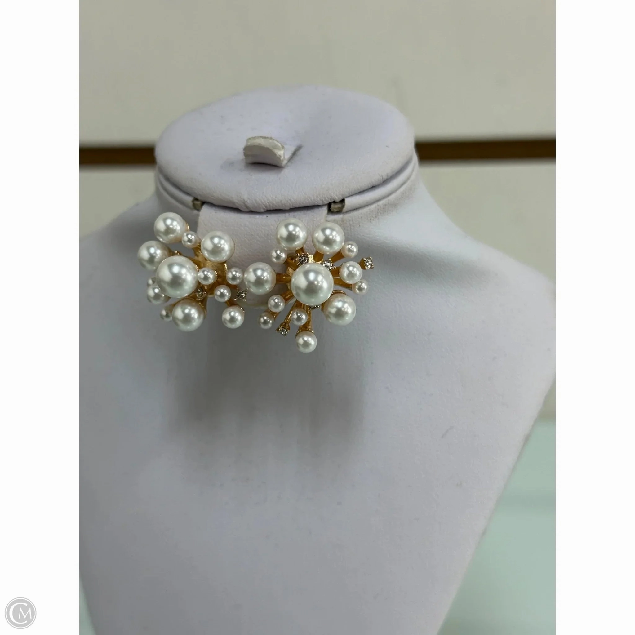 Earrings Designer By Kate Spade