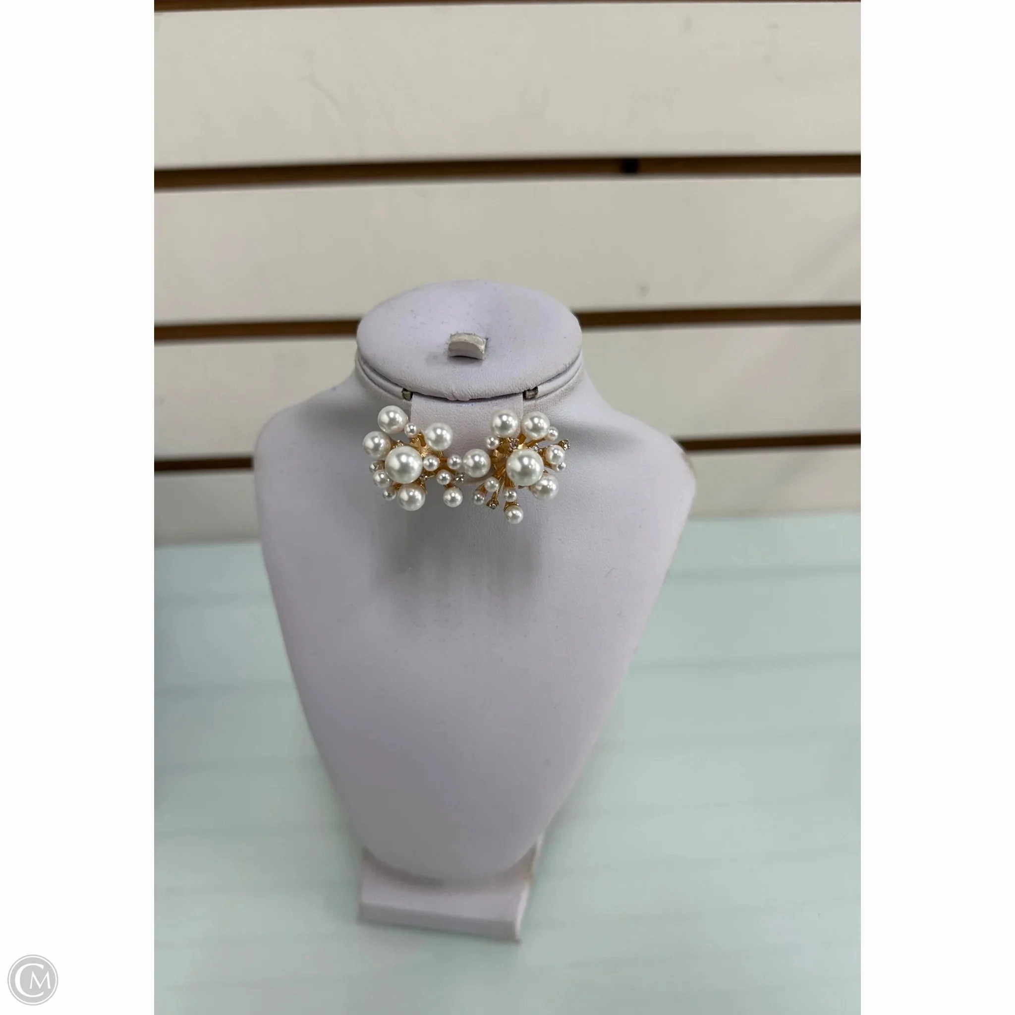 Earrings Designer By Kate Spade