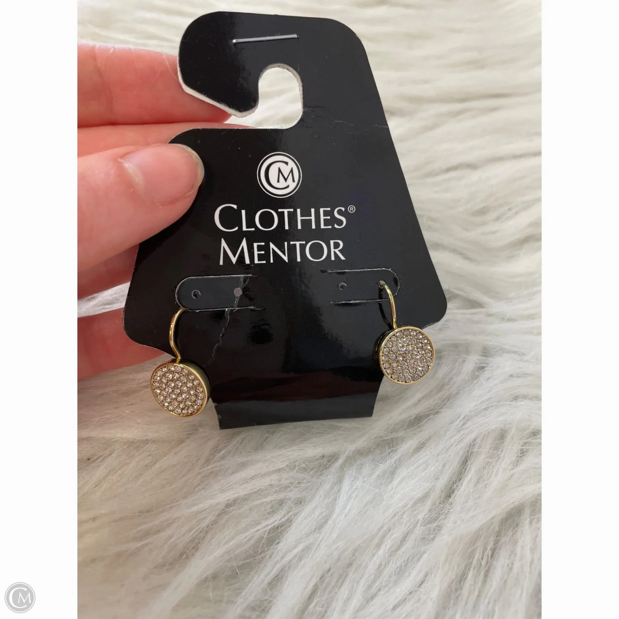 Earrings Hoop By Clothes Mentor