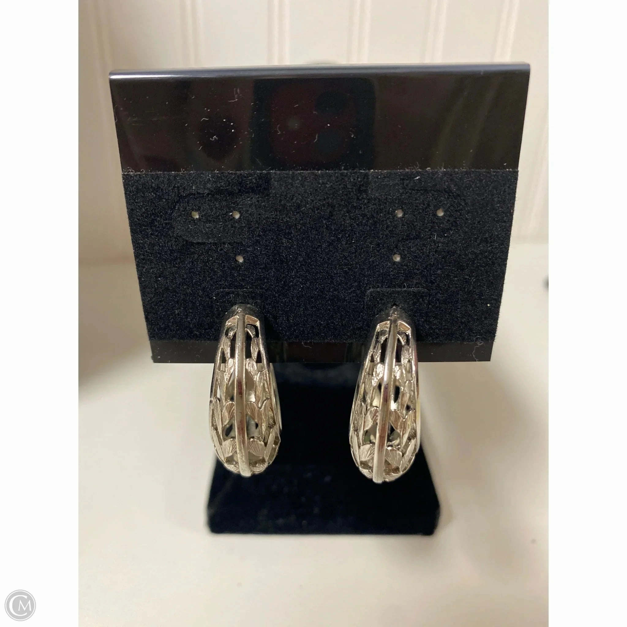 Earrings Hoop By Clothes Mentor