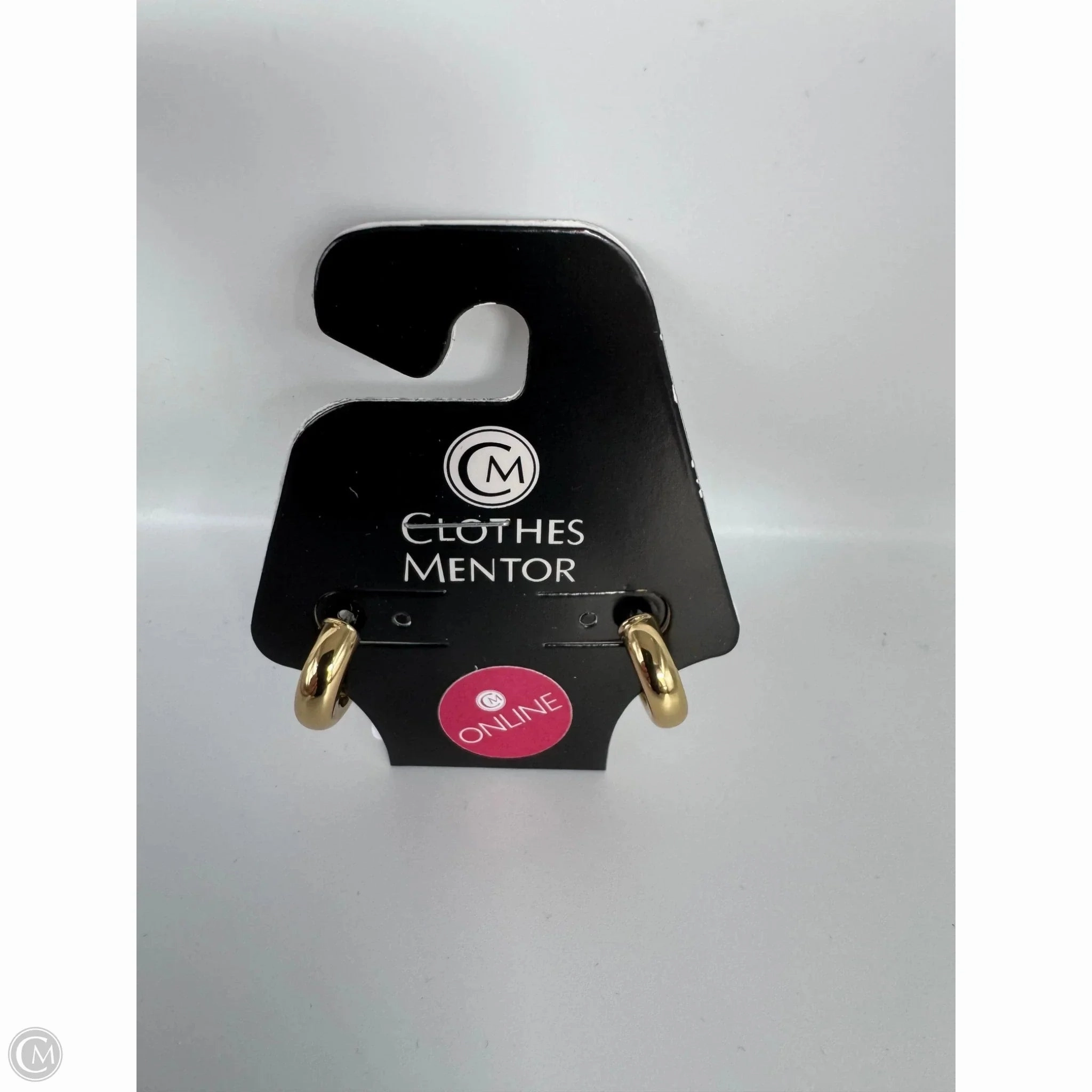 Earrings Hoop By Clothes Mentor