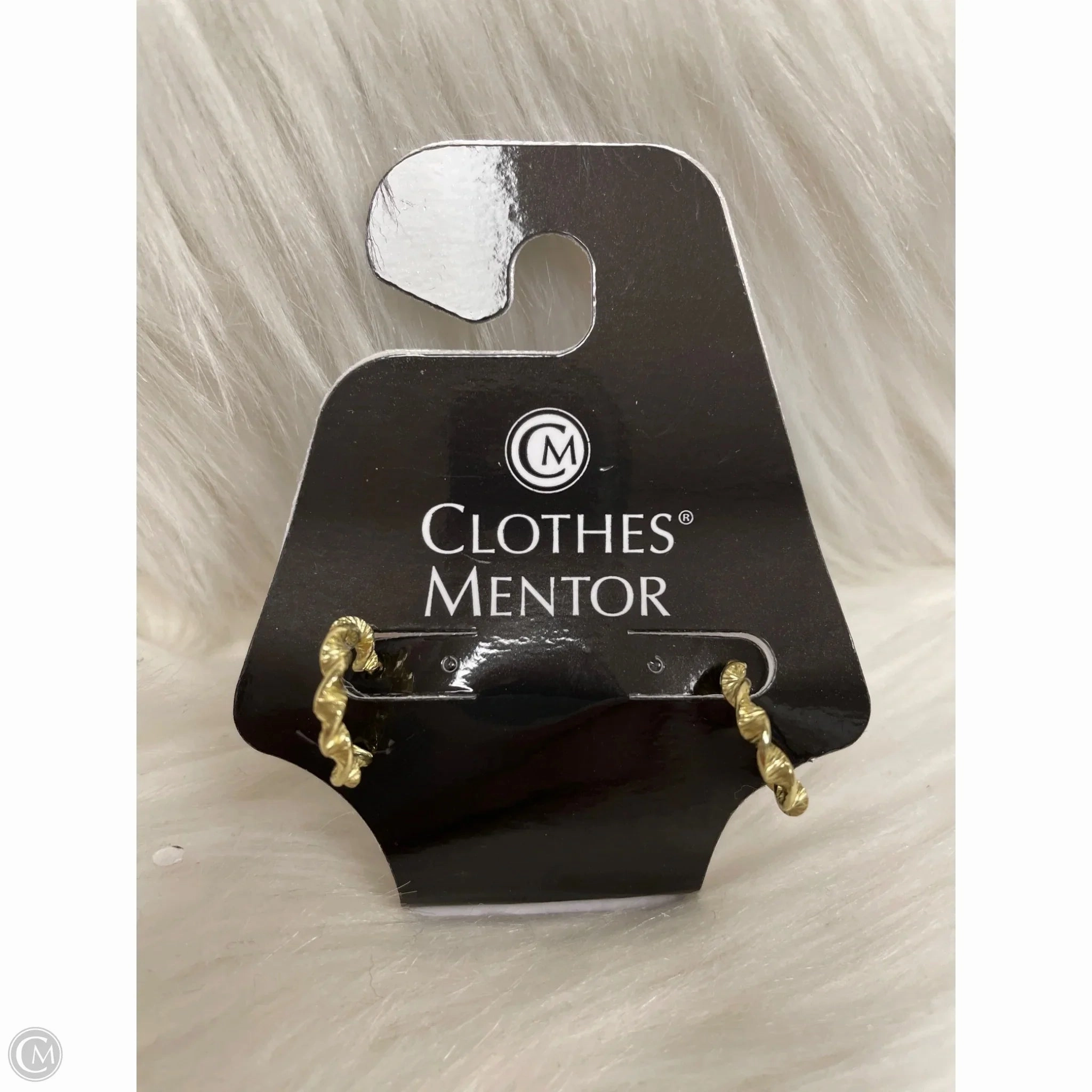 Earrings Hoop By Cme