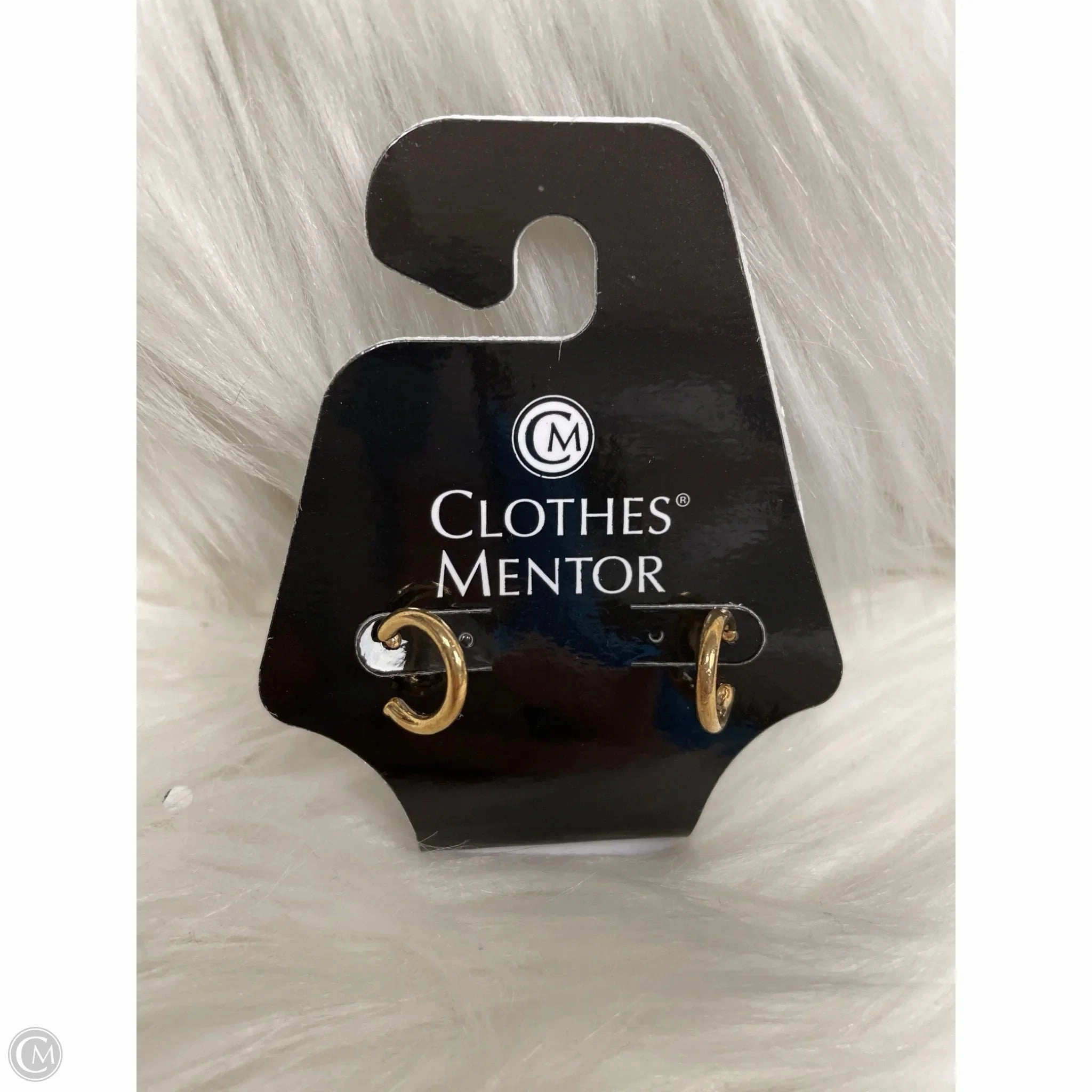 Earrings Hoop By Cme