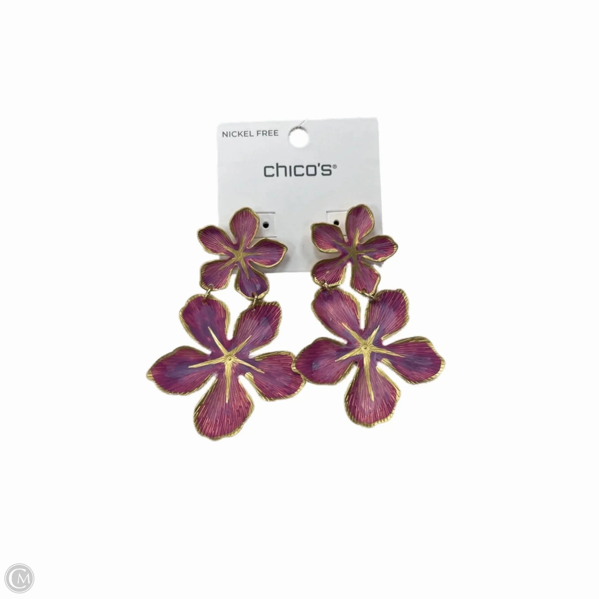 Earrings Other By Chicos