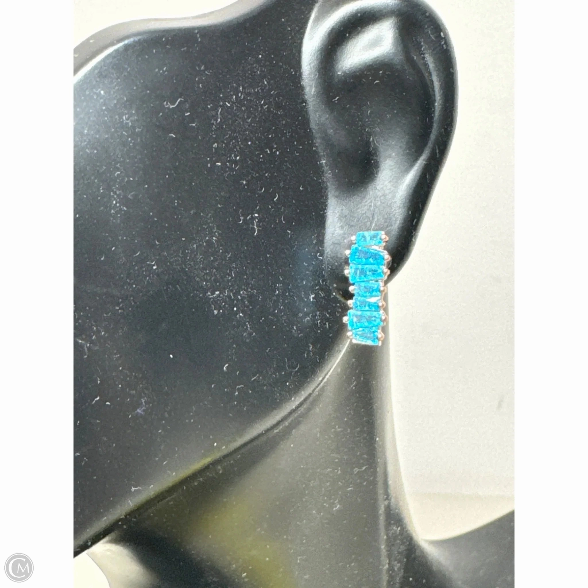 Earrings Other By Cmb, Size: 02 Piece Set
