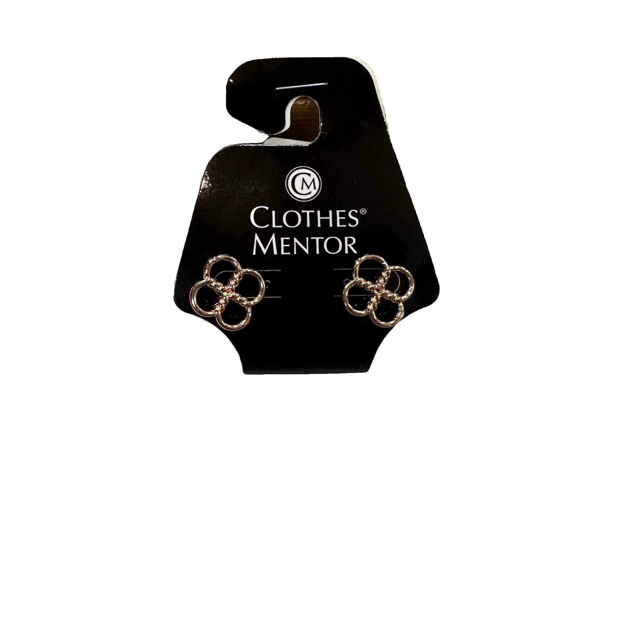 Earrings Stud By Park Lane