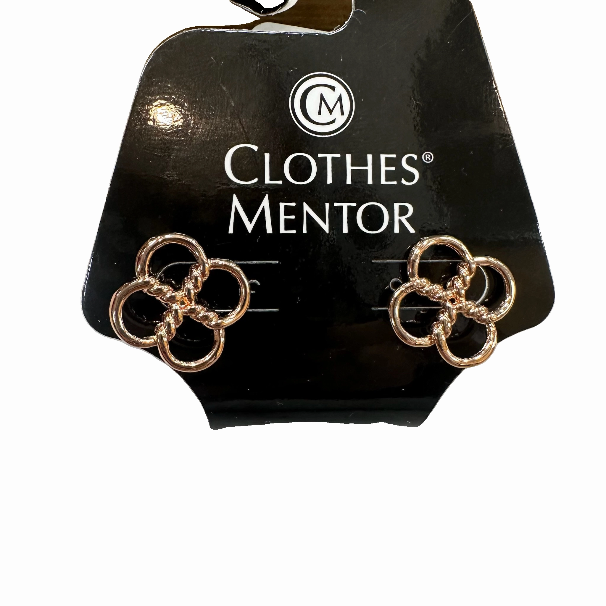 Earrings Stud By Park Lane