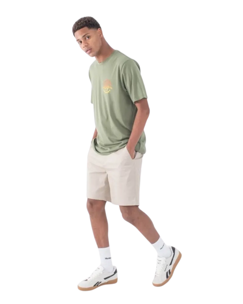 Hurley Clothing Icon Walkshorts in Khaki