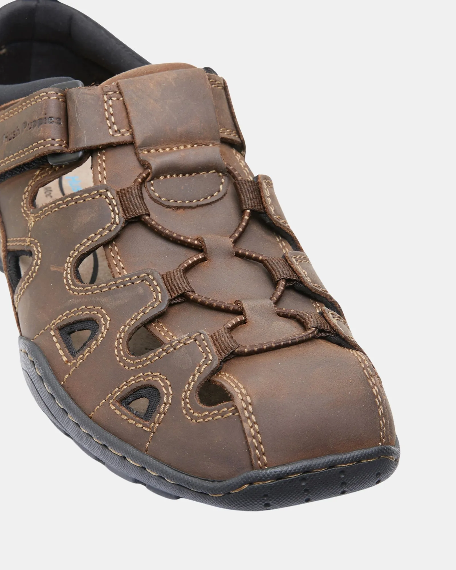 Hush Puppies	Shoes Sentry Brown