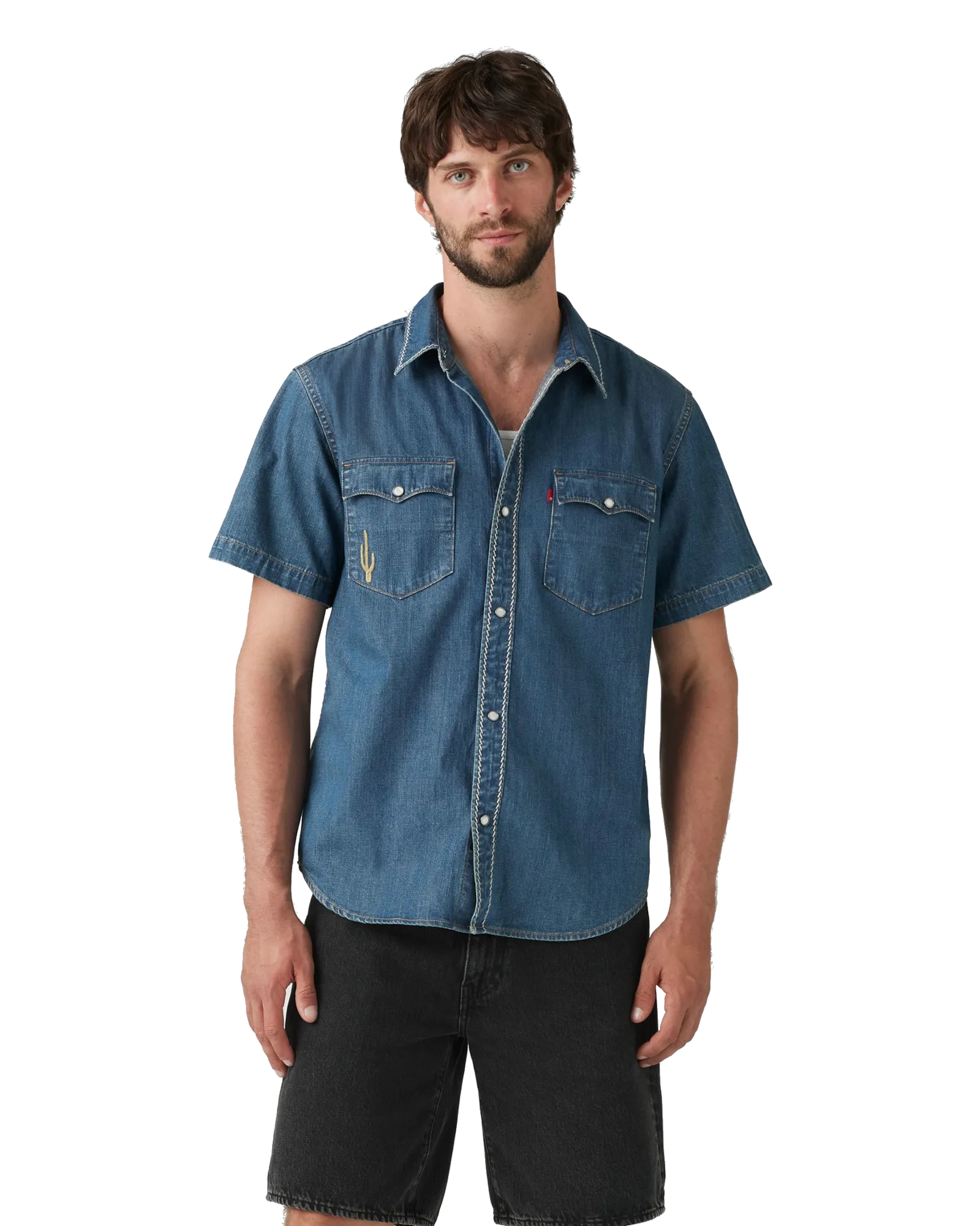 Levi's Clothing Relaxed Western Shirt in Huckleberry Desert
