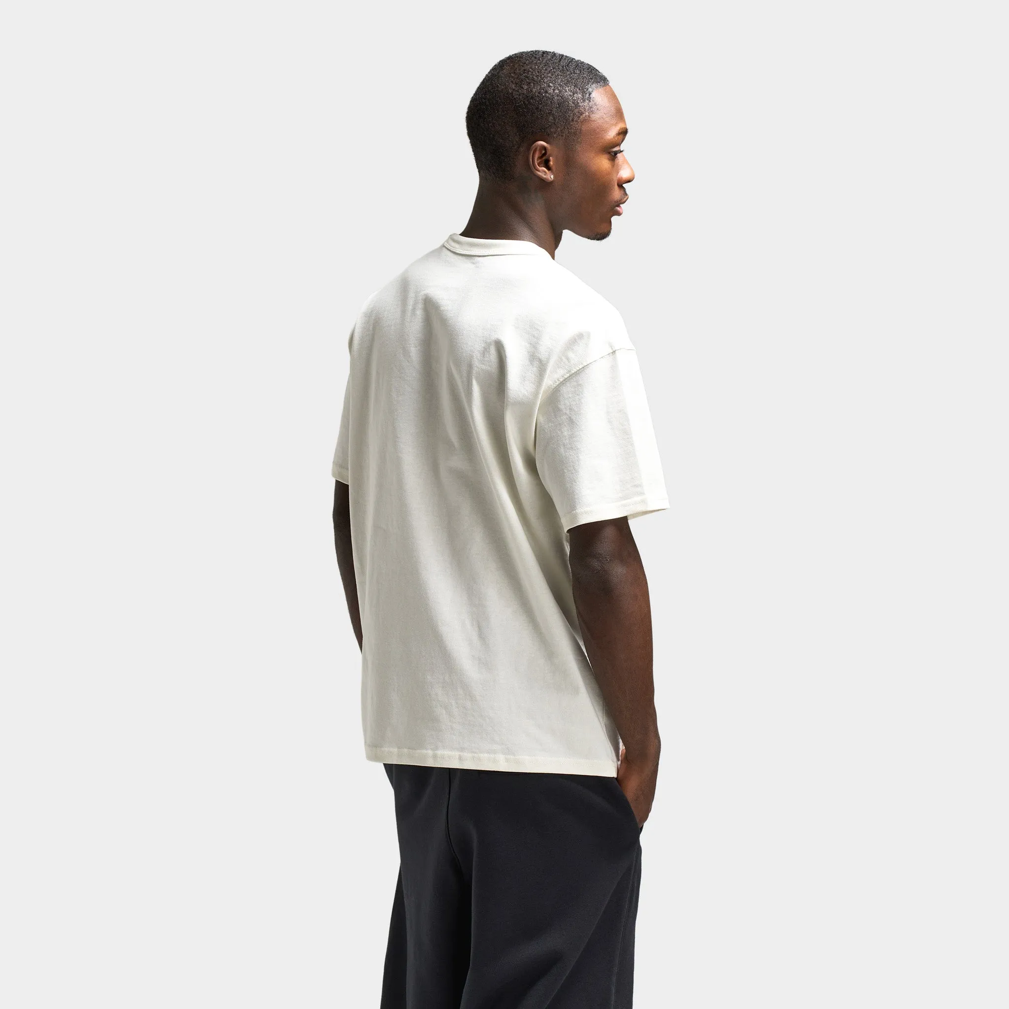 Mens Nike Nike Sportswear Premium Essential T-Shirt / Sail
