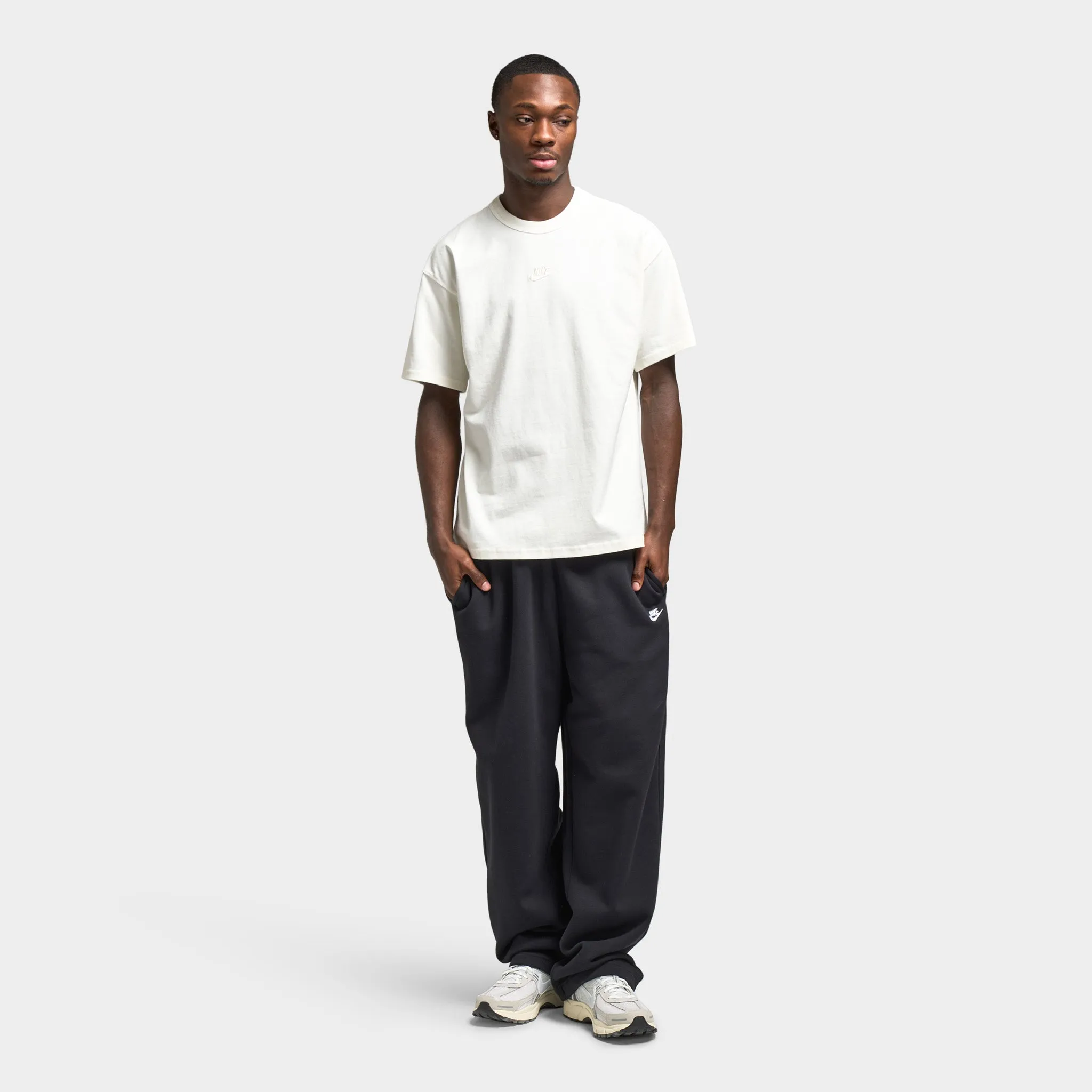 Mens Nike Nike Sportswear Premium Essential T-Shirt / Sail