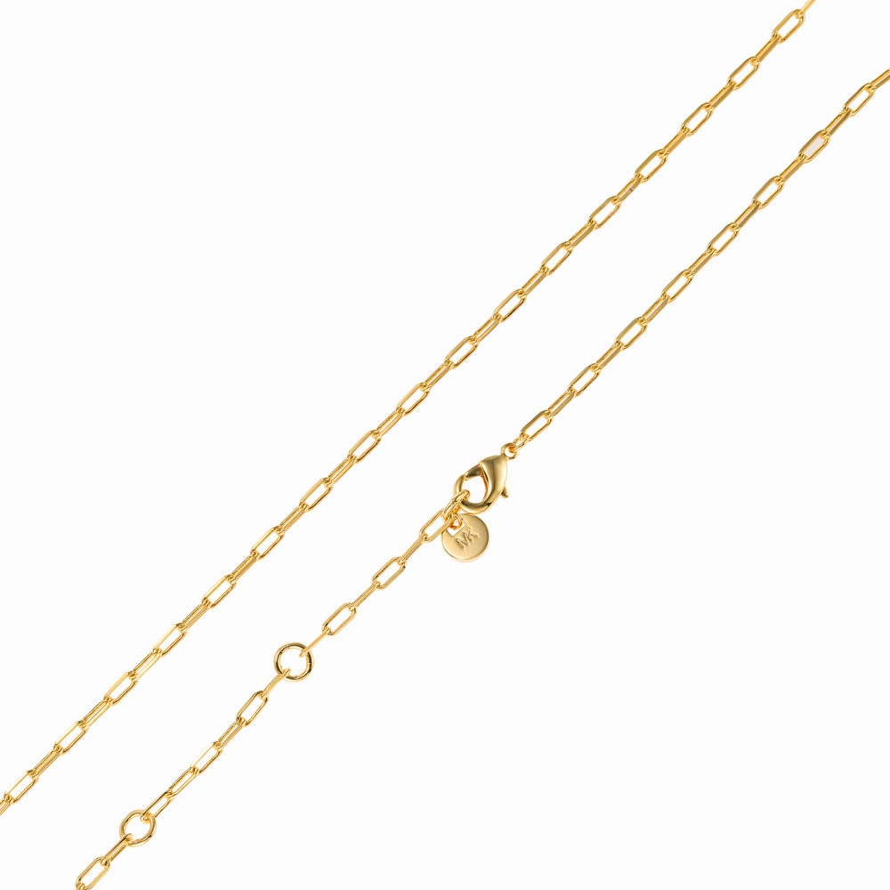 Michael Kors 14ct Yellow Gold Plated Brass Tiger's Eye Dog Tag Pendant with Chain