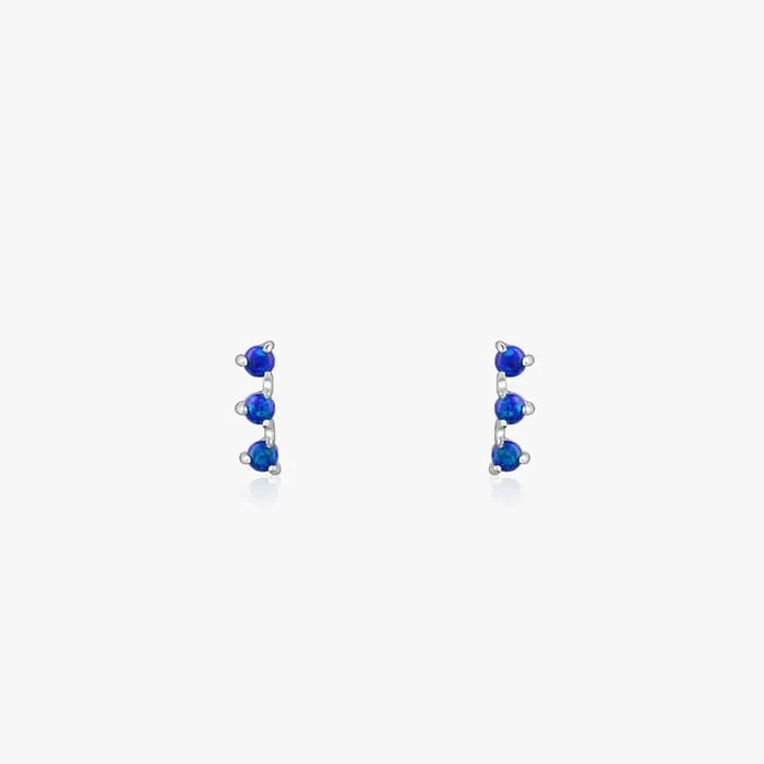 Silver Elegantly Attractive Earrings
